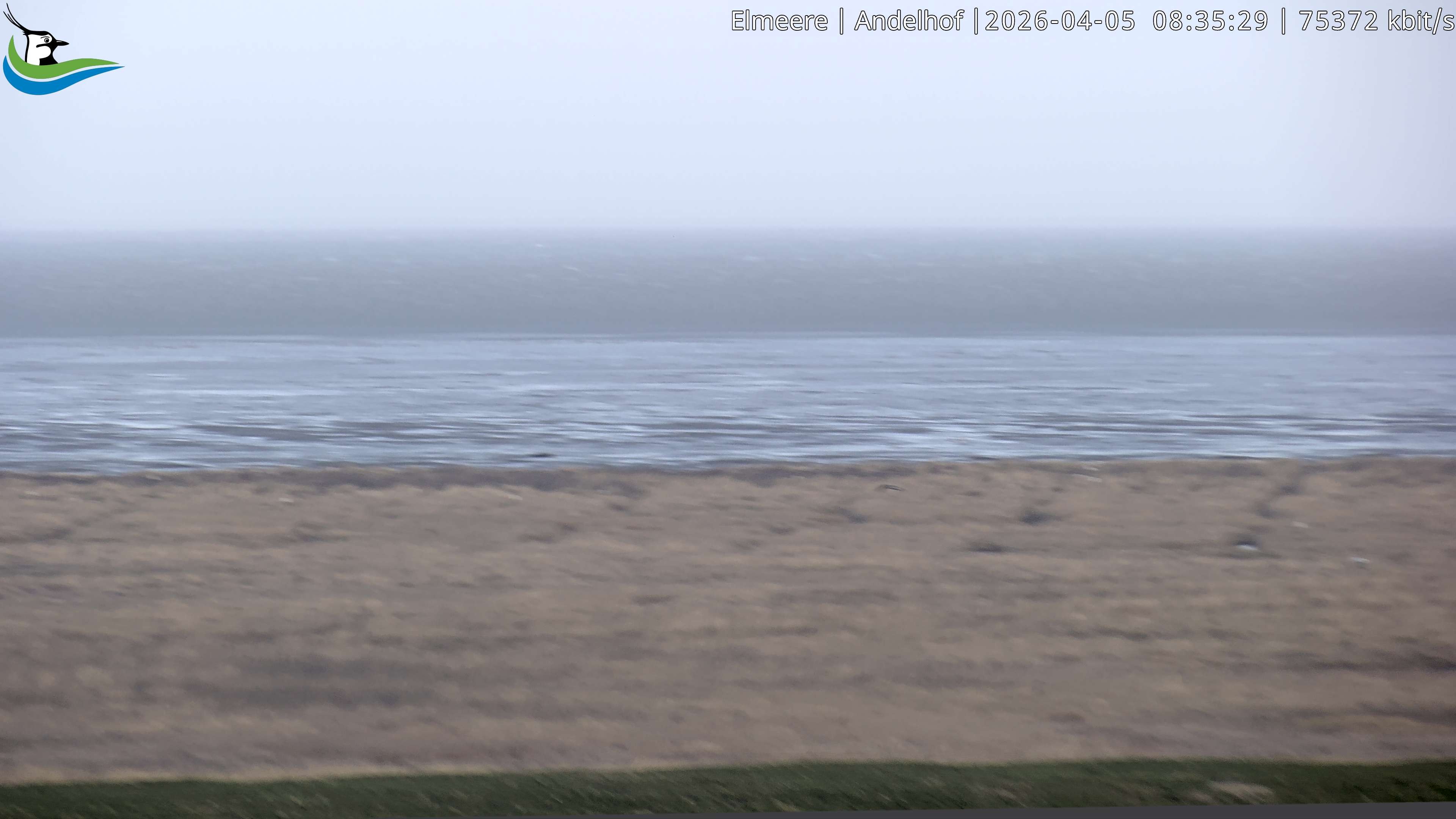 Archiv Foto Webcam Midlum - Andelhof