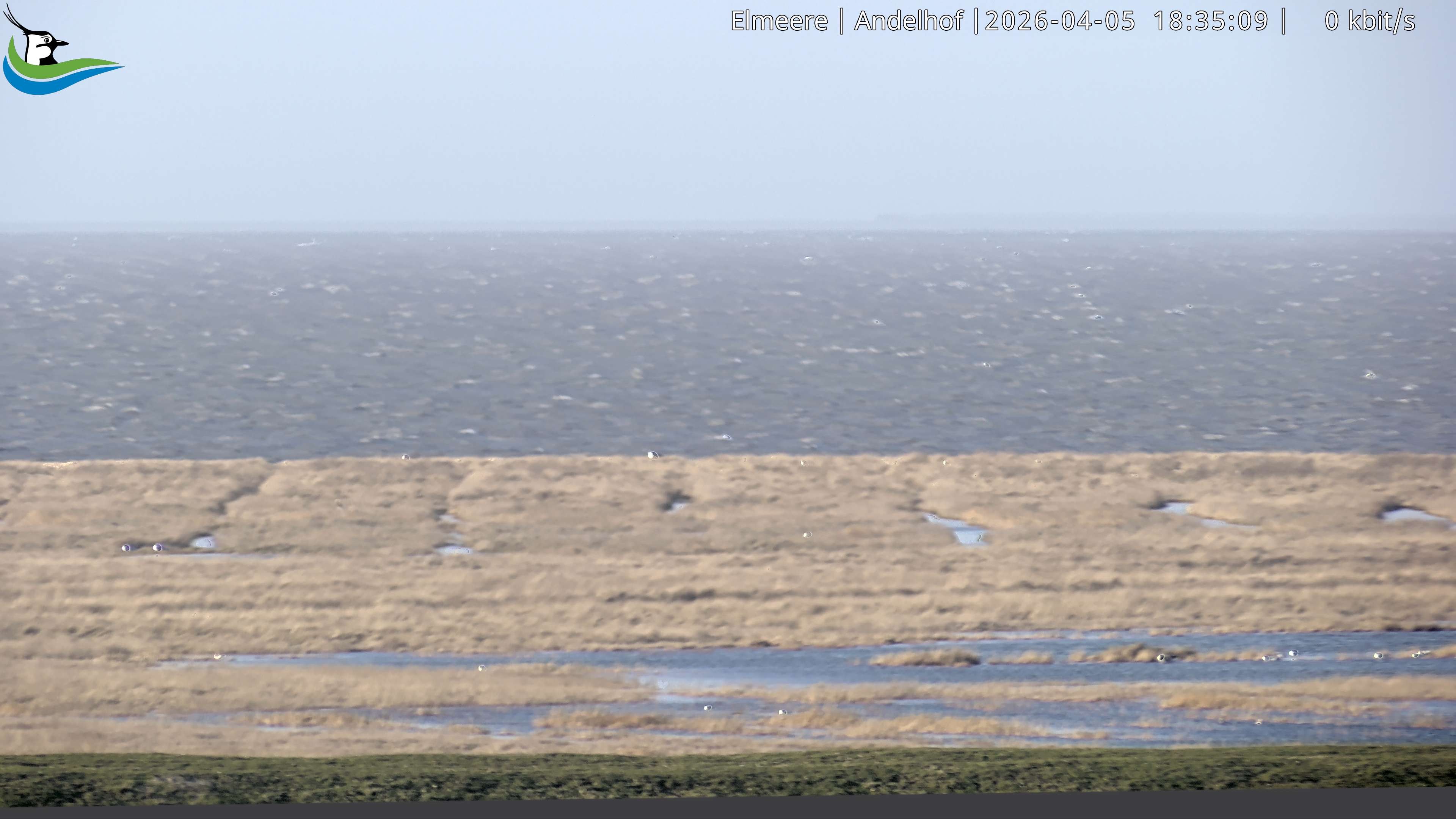 Archiv Foto Webcam Midlum - Andelhof