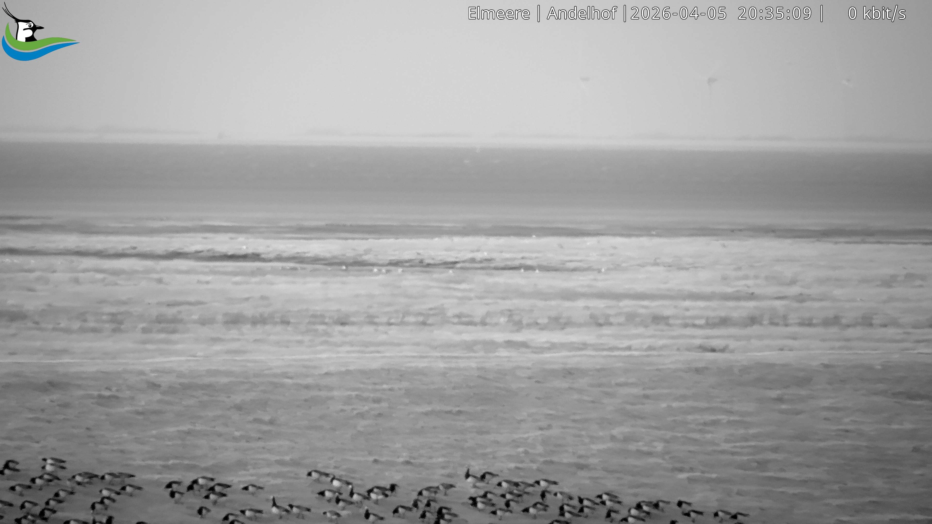 Archiv Foto Webcam Midlum - Andelhof