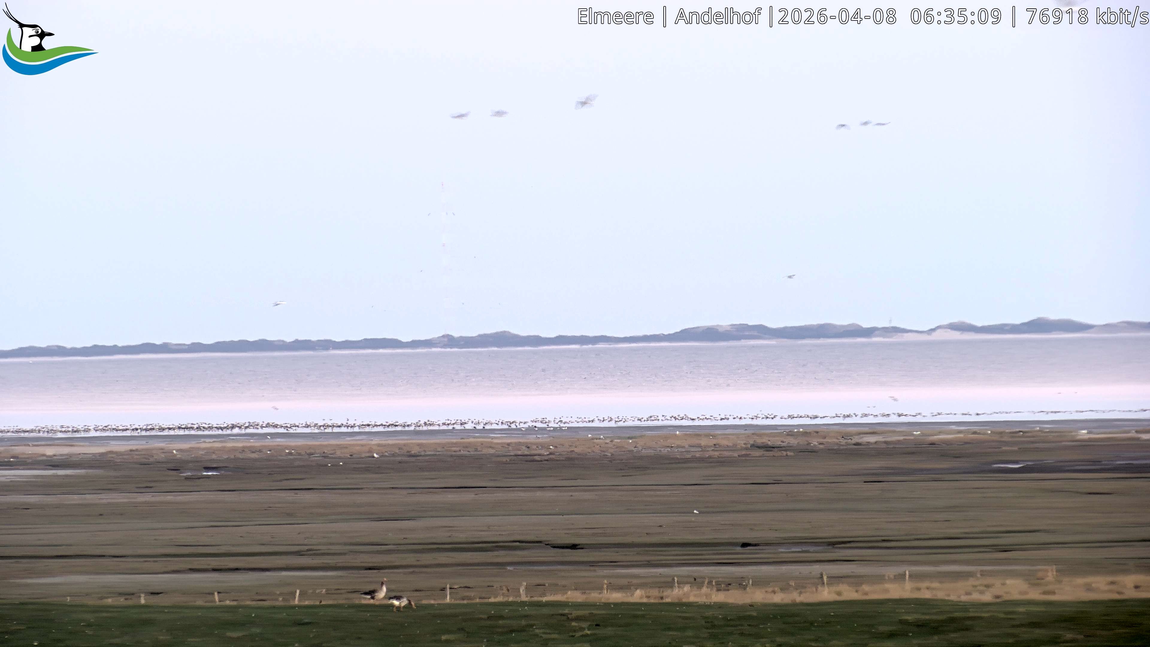 Archiv Foto Webcam Midlum - Andelhof