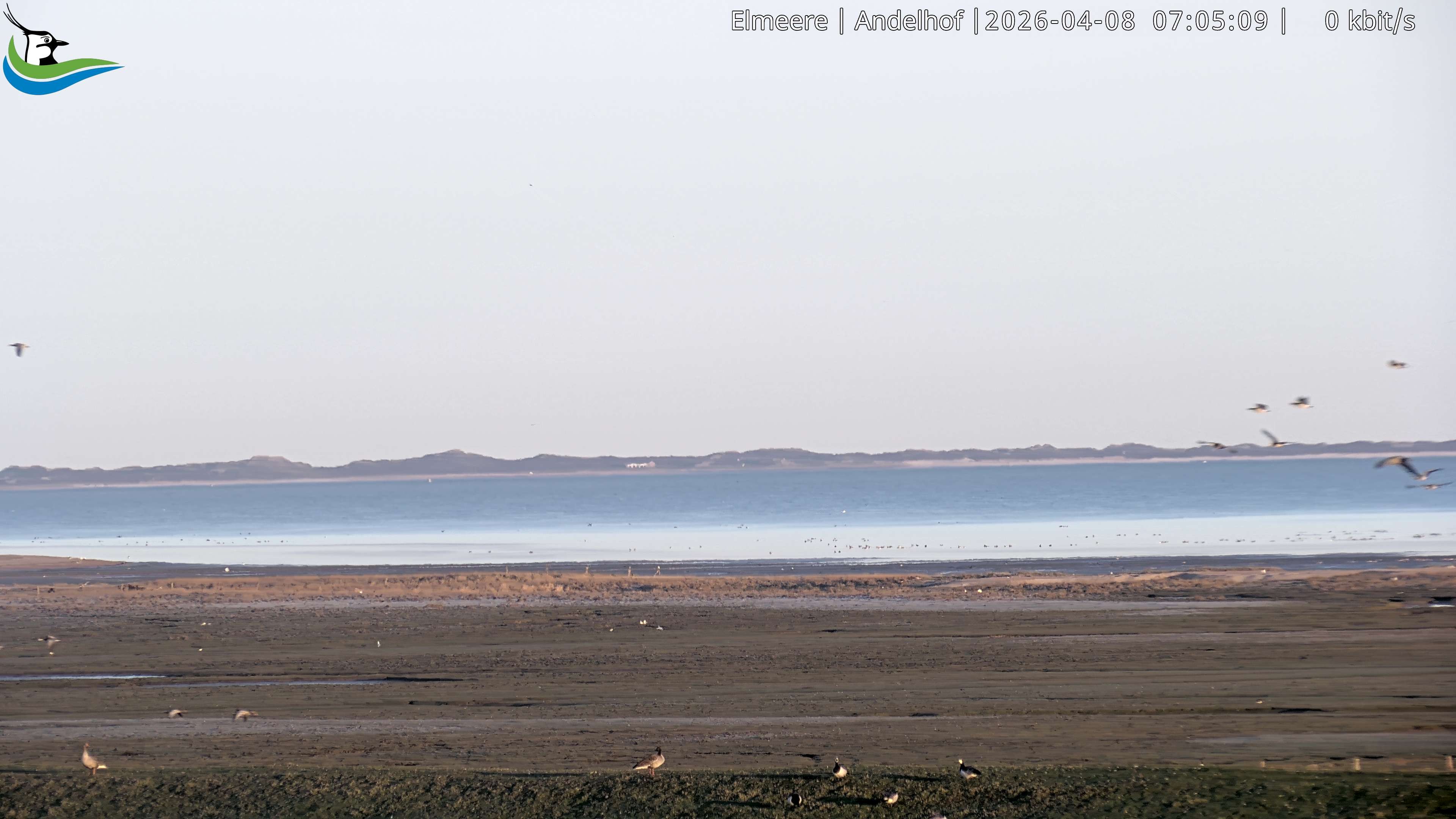 Archiv Foto Webcam Midlum - Andelhof