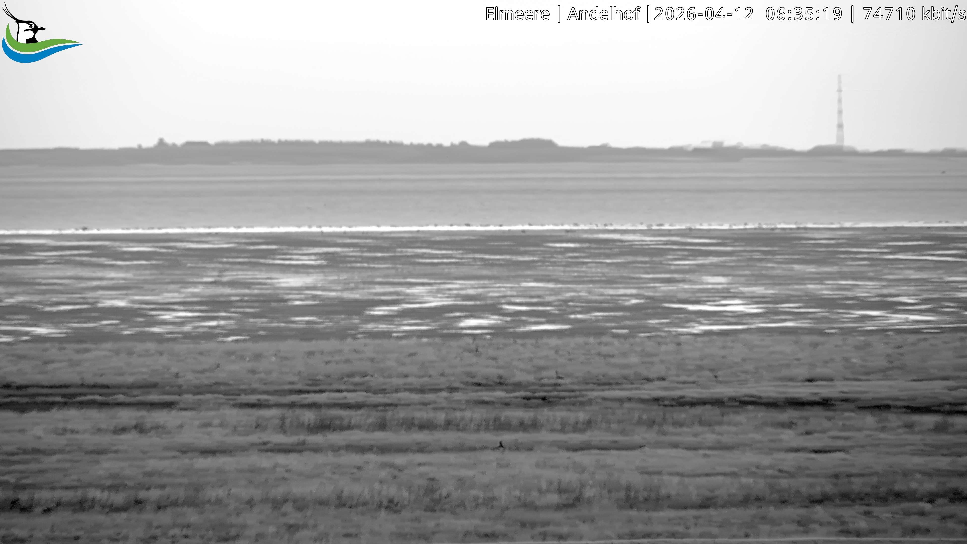 Archiv Foto Webcam Midlum - Andelhof