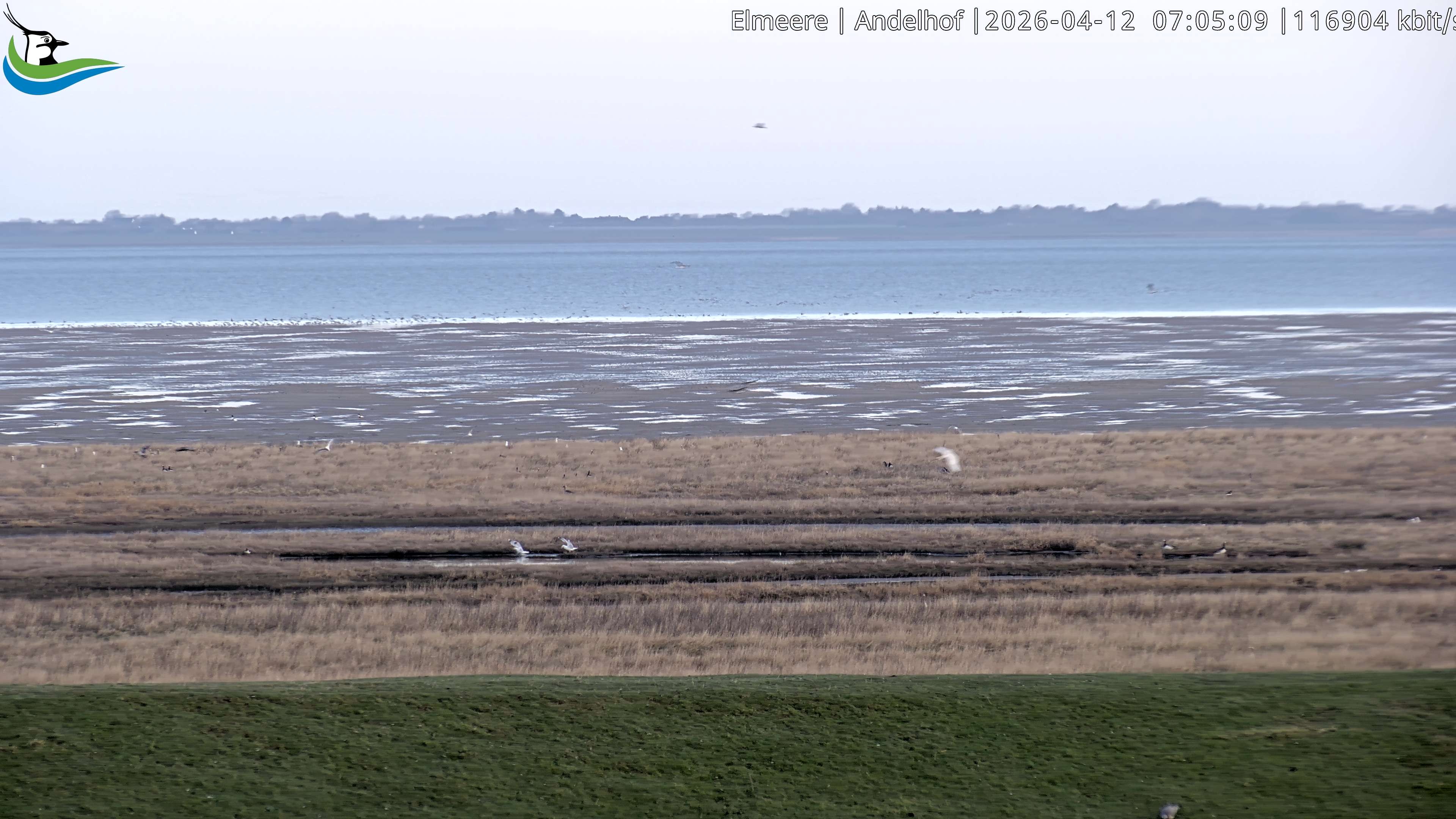 Archiv Foto Webcam Midlum - Andelhof