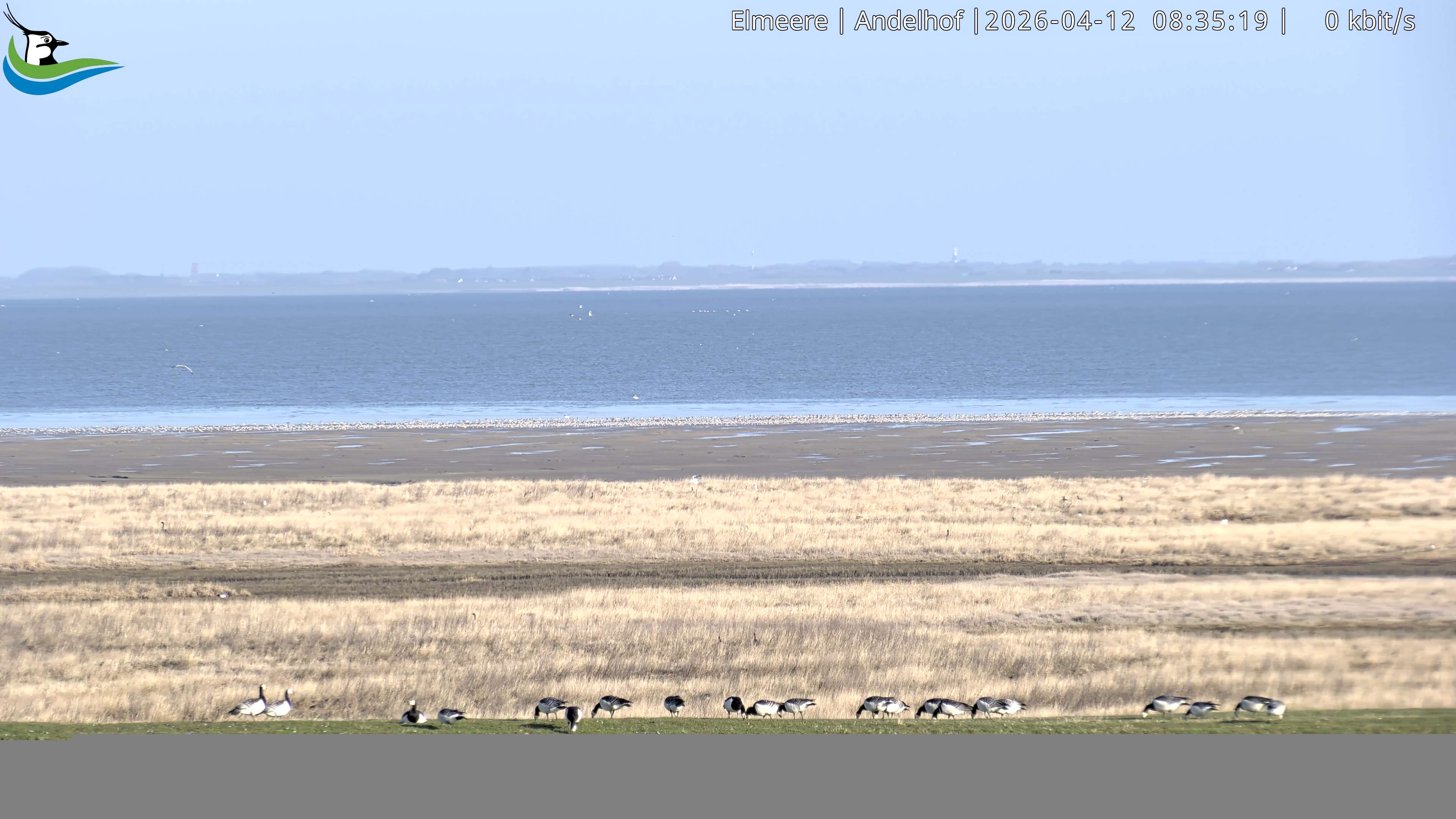 Archiv Foto Webcam Midlum - Andelhof