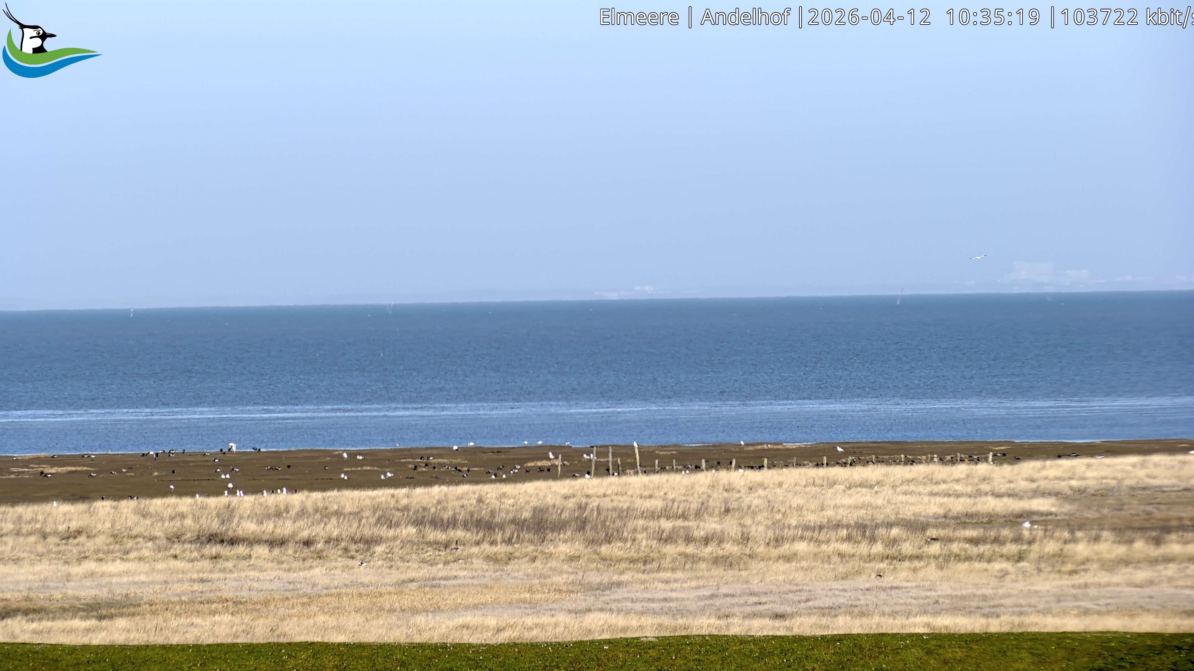 Archiv Foto Webcam Midlum - Andelhof