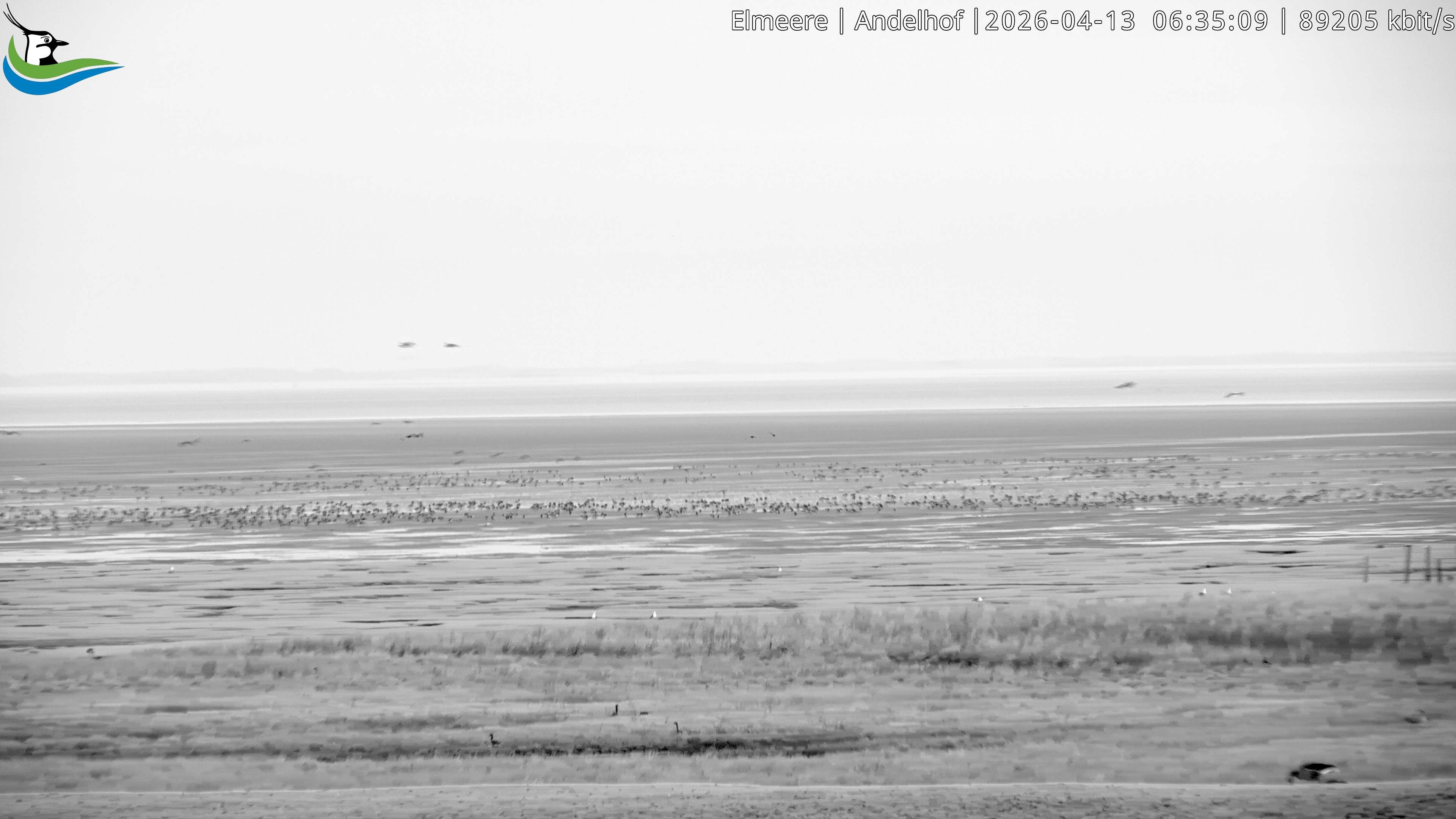 Archived image Webcam Midlum - Hotel Andelhof