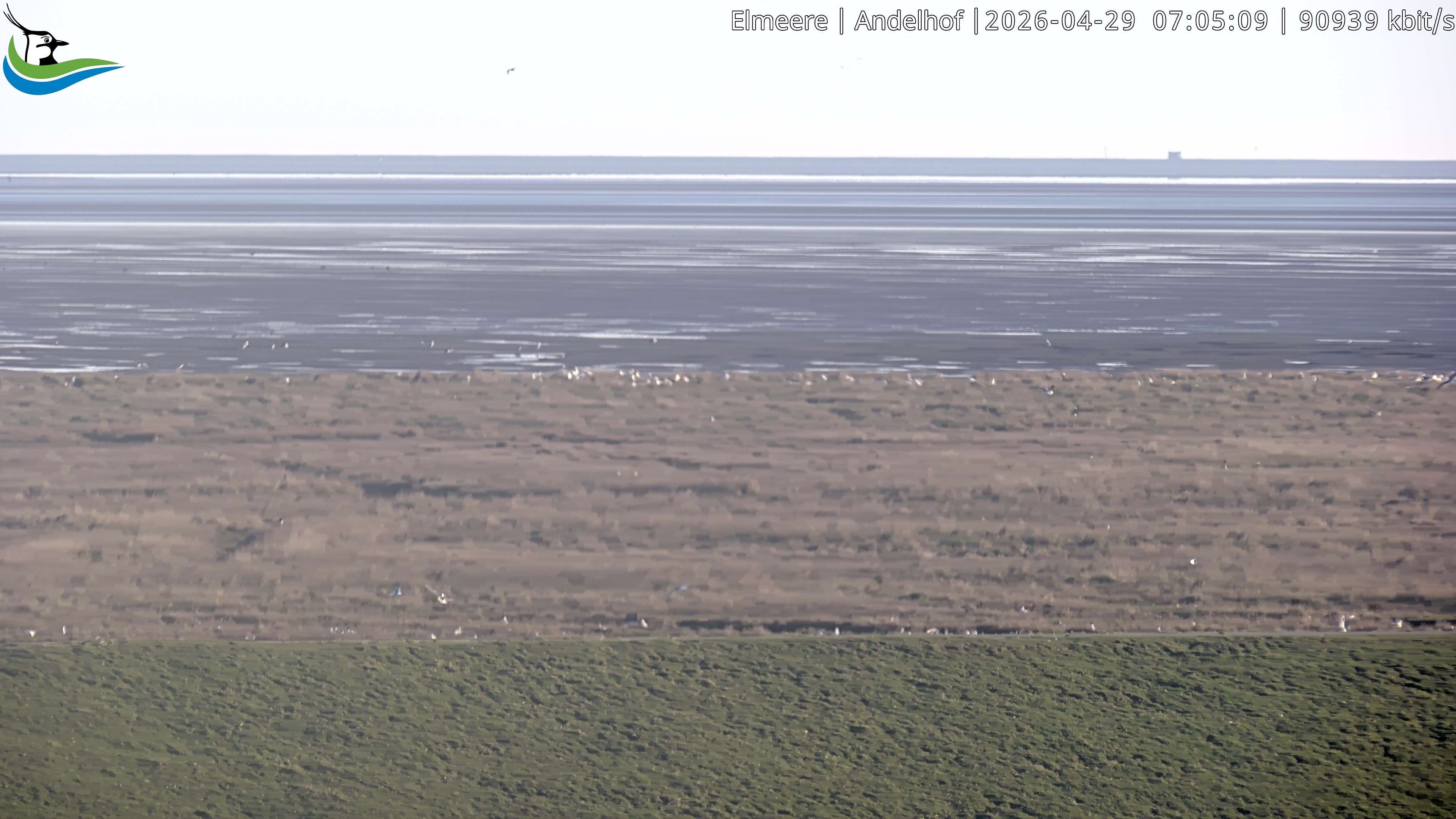 Archiv Foto Webcam Midlum - Andelhof