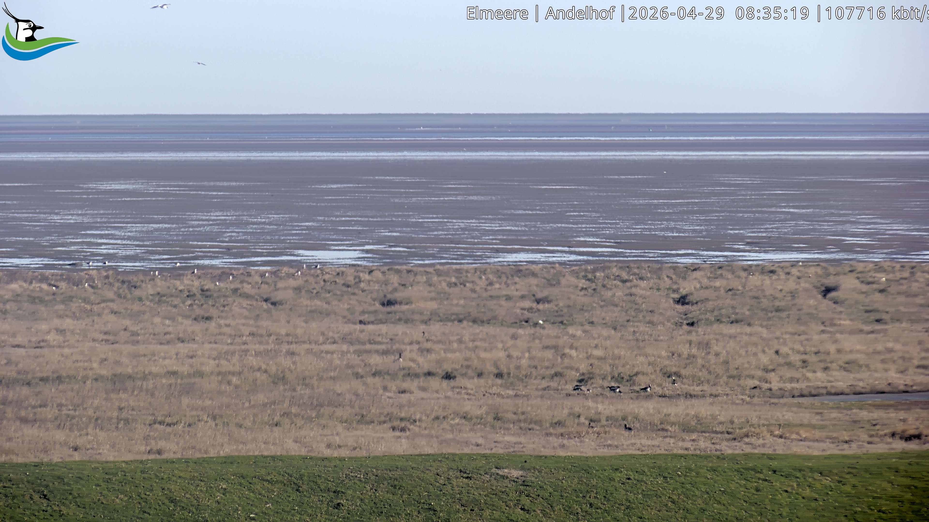 Archiv Foto Webcam Midlum - Andelhof