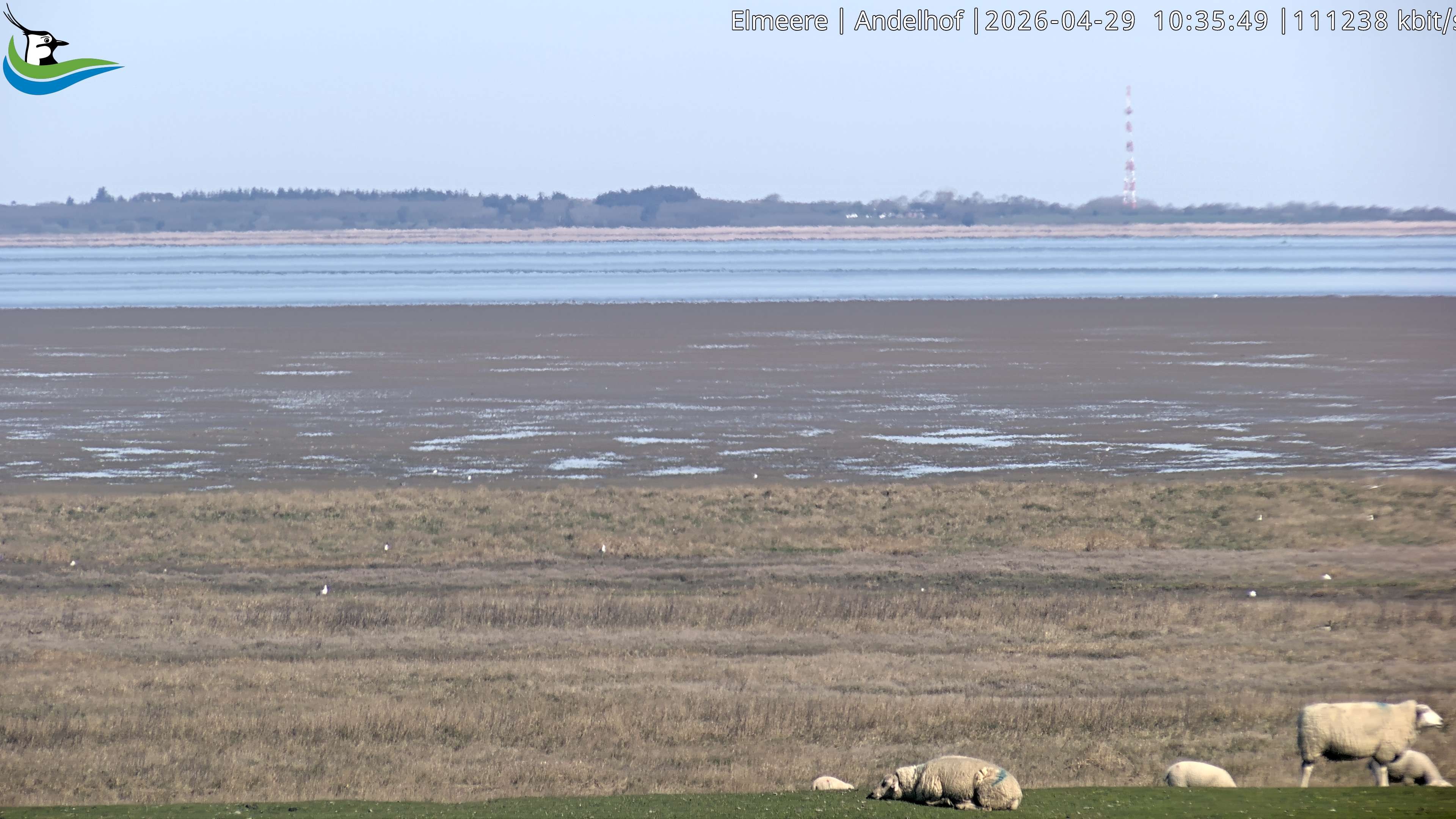 Archiv Foto Webcam Midlum - Andelhof