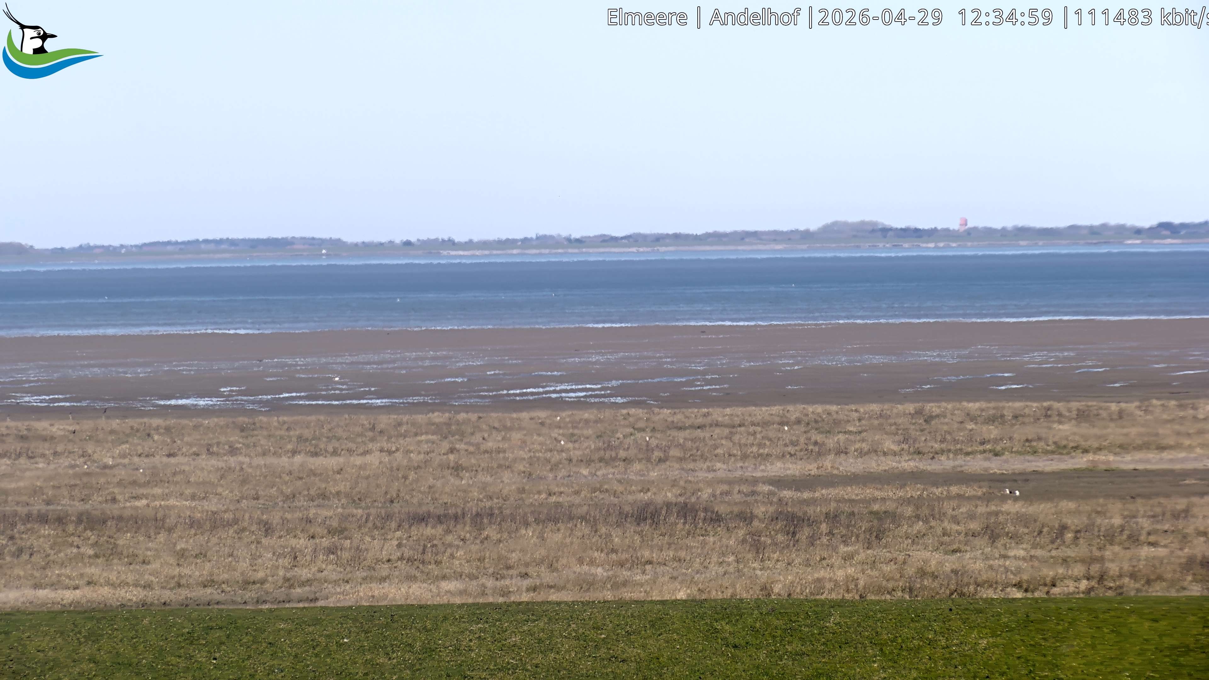 Archiv Foto Webcam Midlum - Andelhof