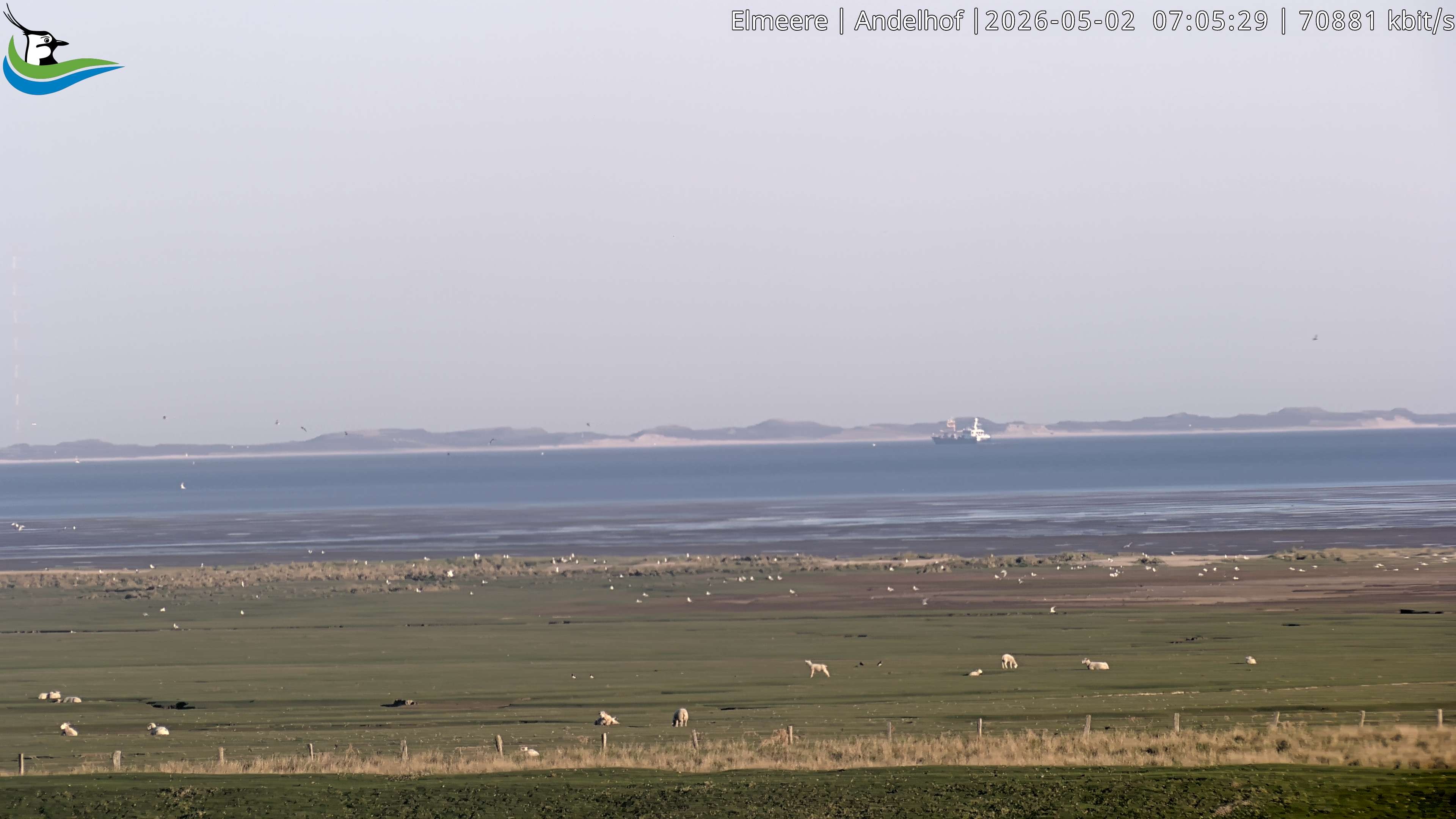 Archiv Foto Webcam Midlum - Andelhof