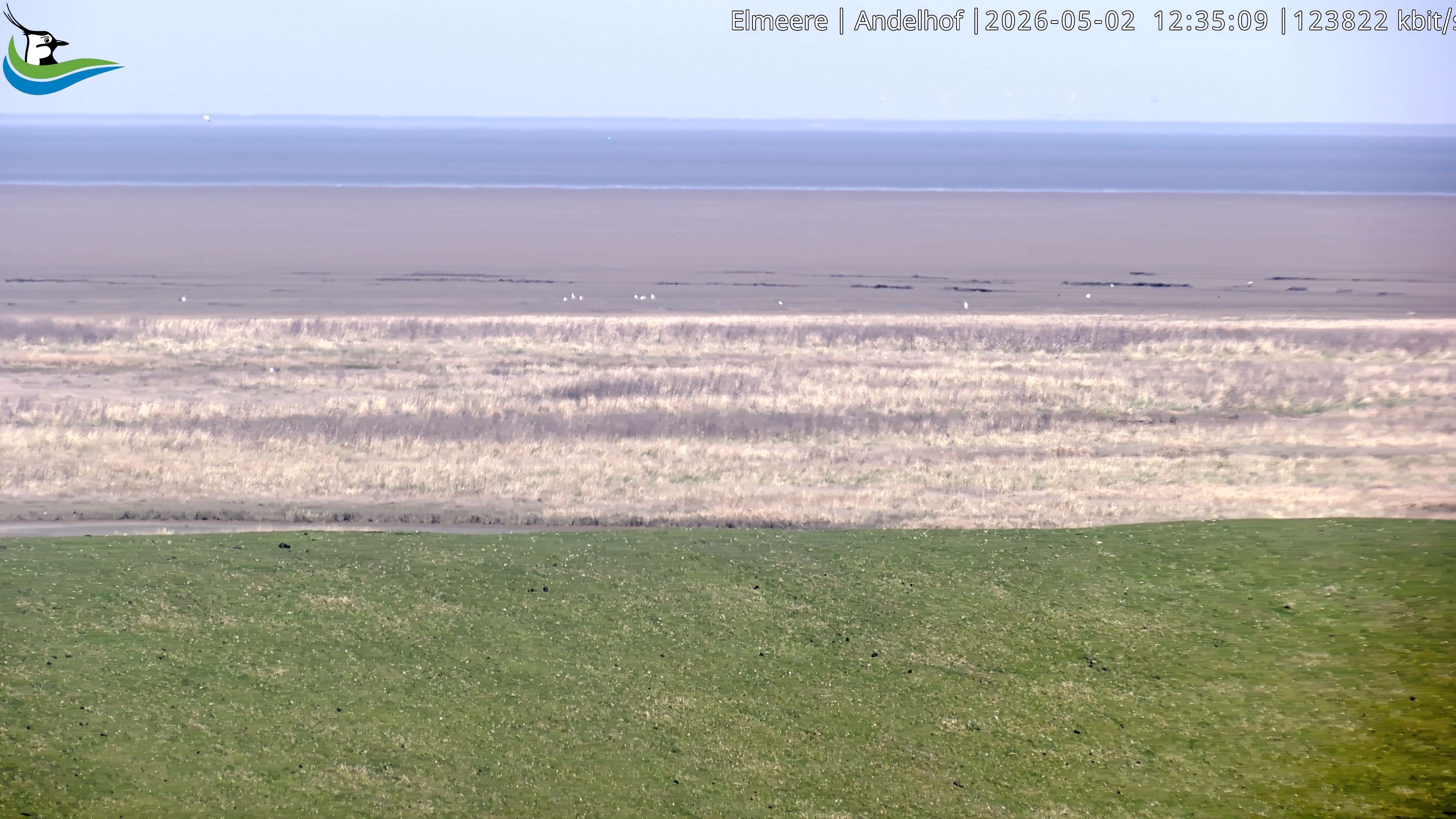 Archiv Foto Webcam Midlum - Andelhof