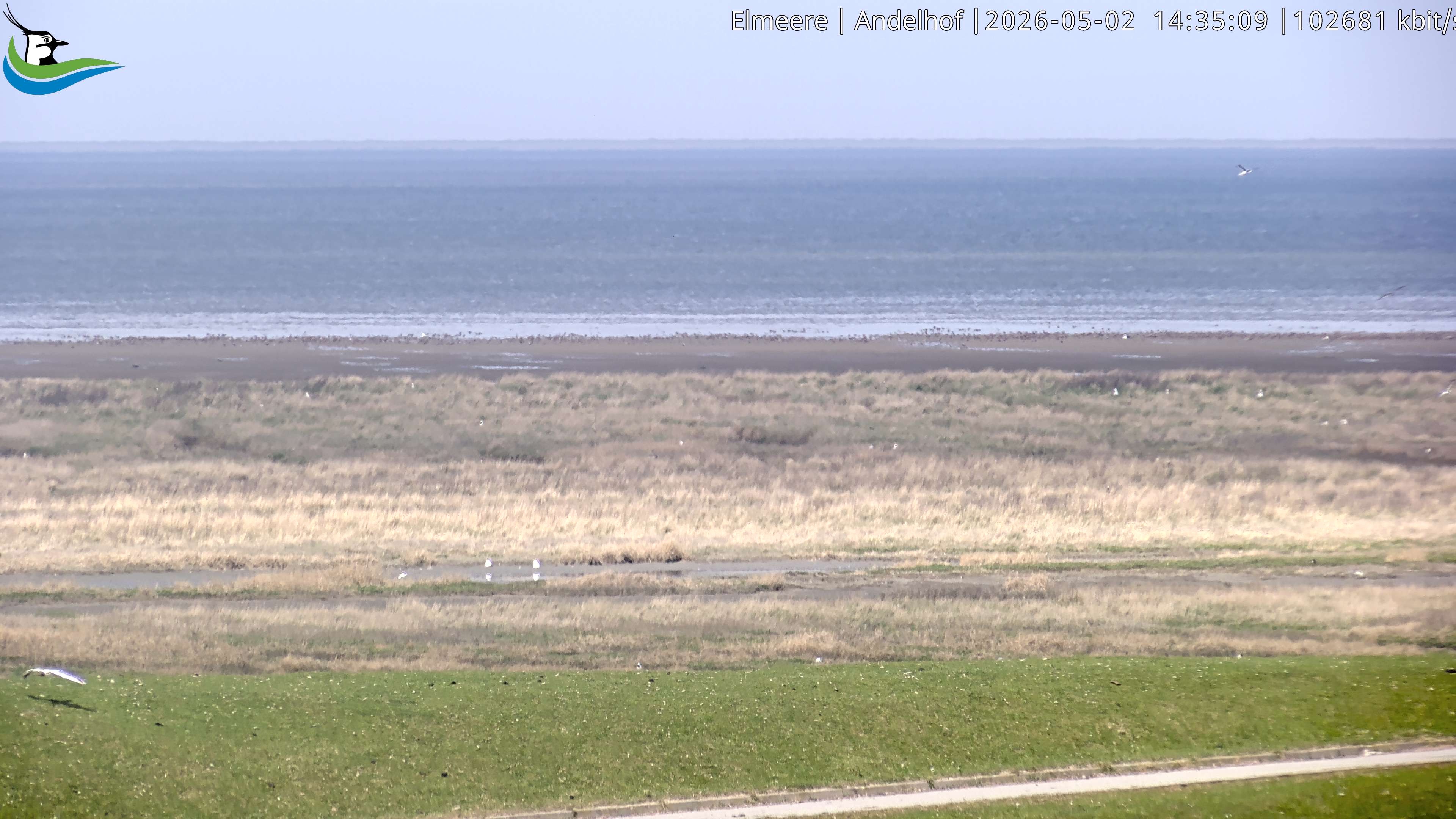 Archiv Foto Webcam Midlum - Andelhof