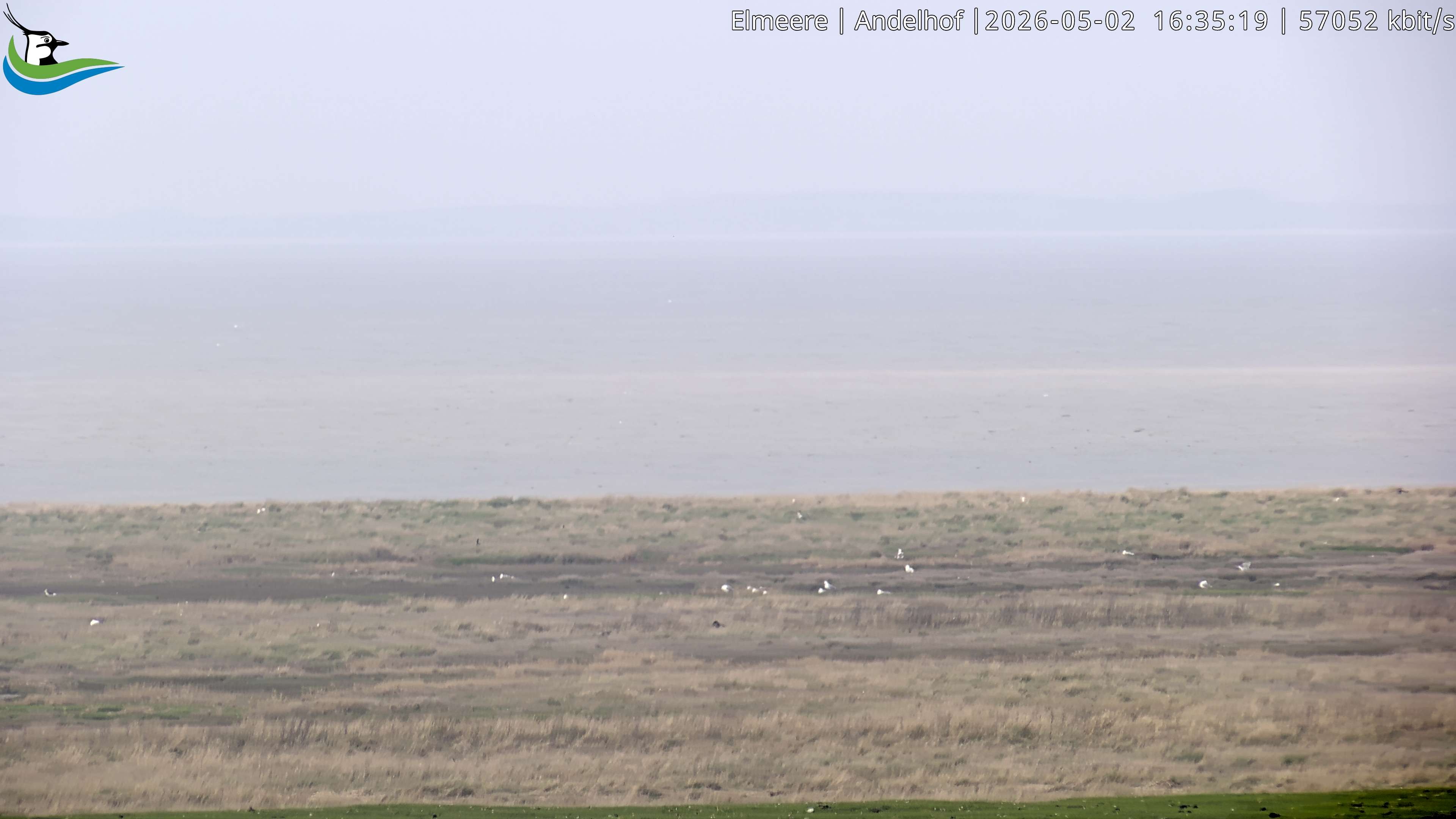 Archiv Foto Webcam Midlum - Andelhof