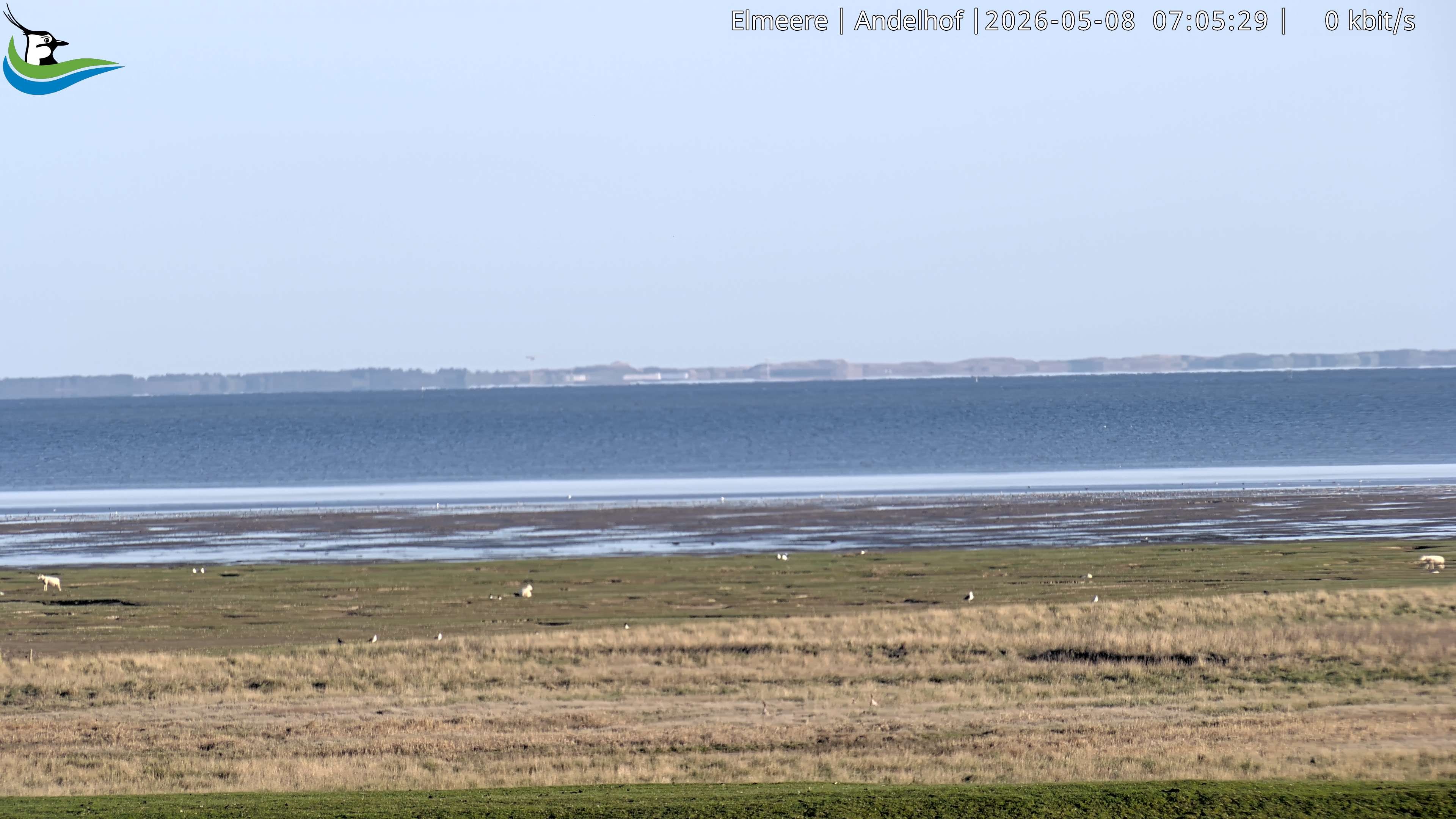 Archiv Foto Webcam Midlum - Andelhof
