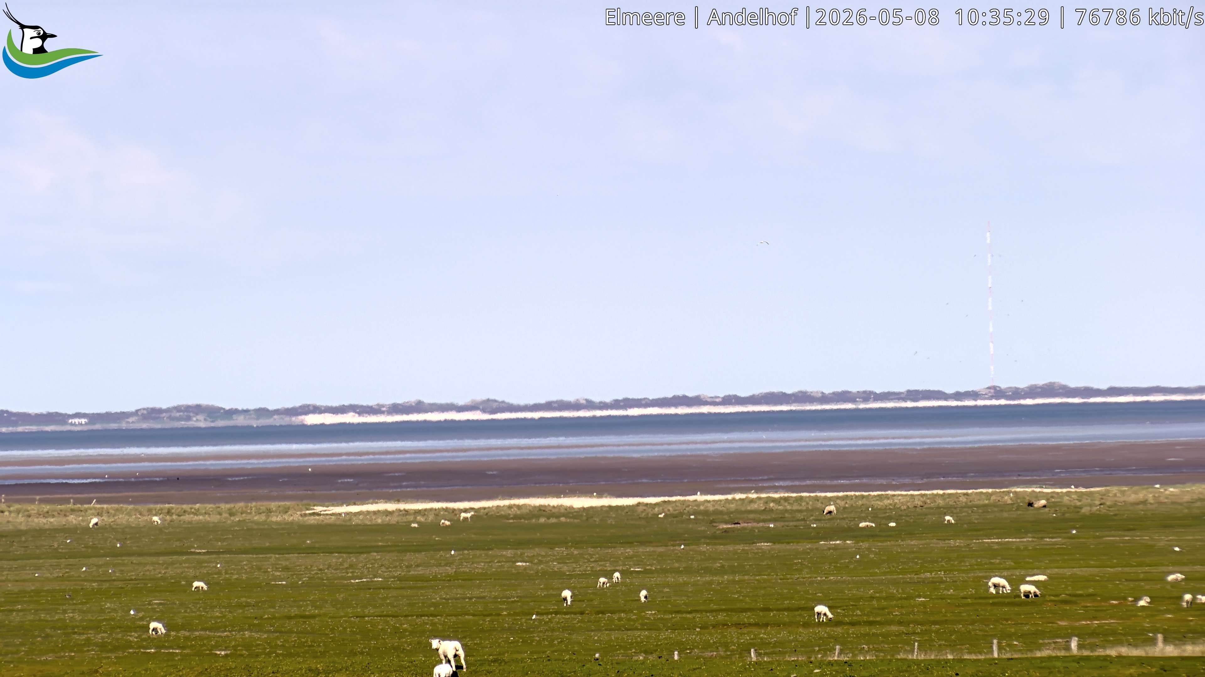 Archiv Foto Webcam Midlum - Andelhof