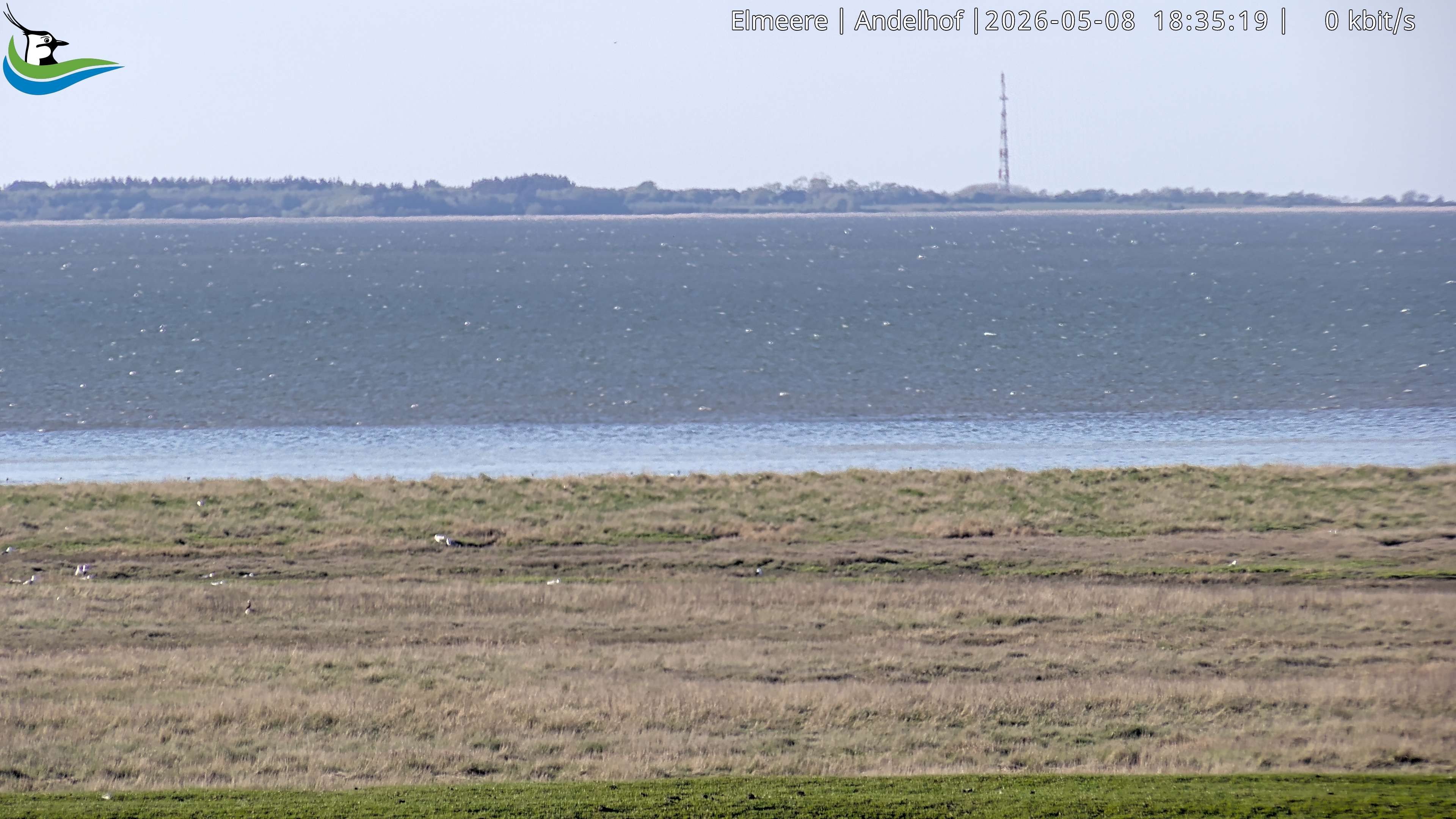 Archived image Webcam Midlum - Hotel Andelhof