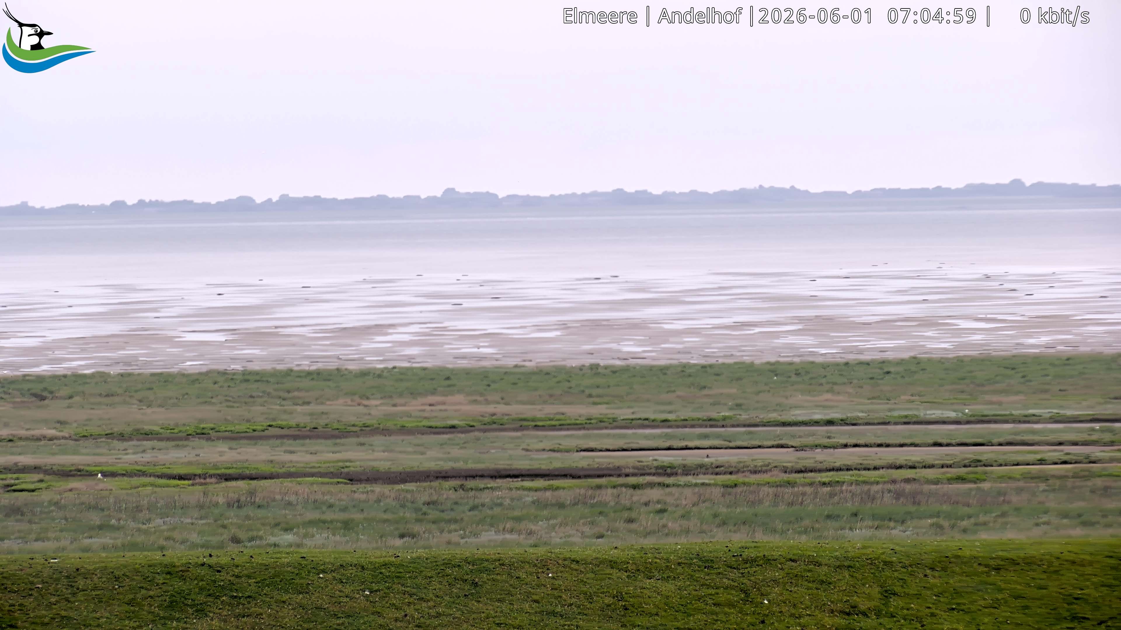 Archived image Webcam Midlum - Hotel Andelhof