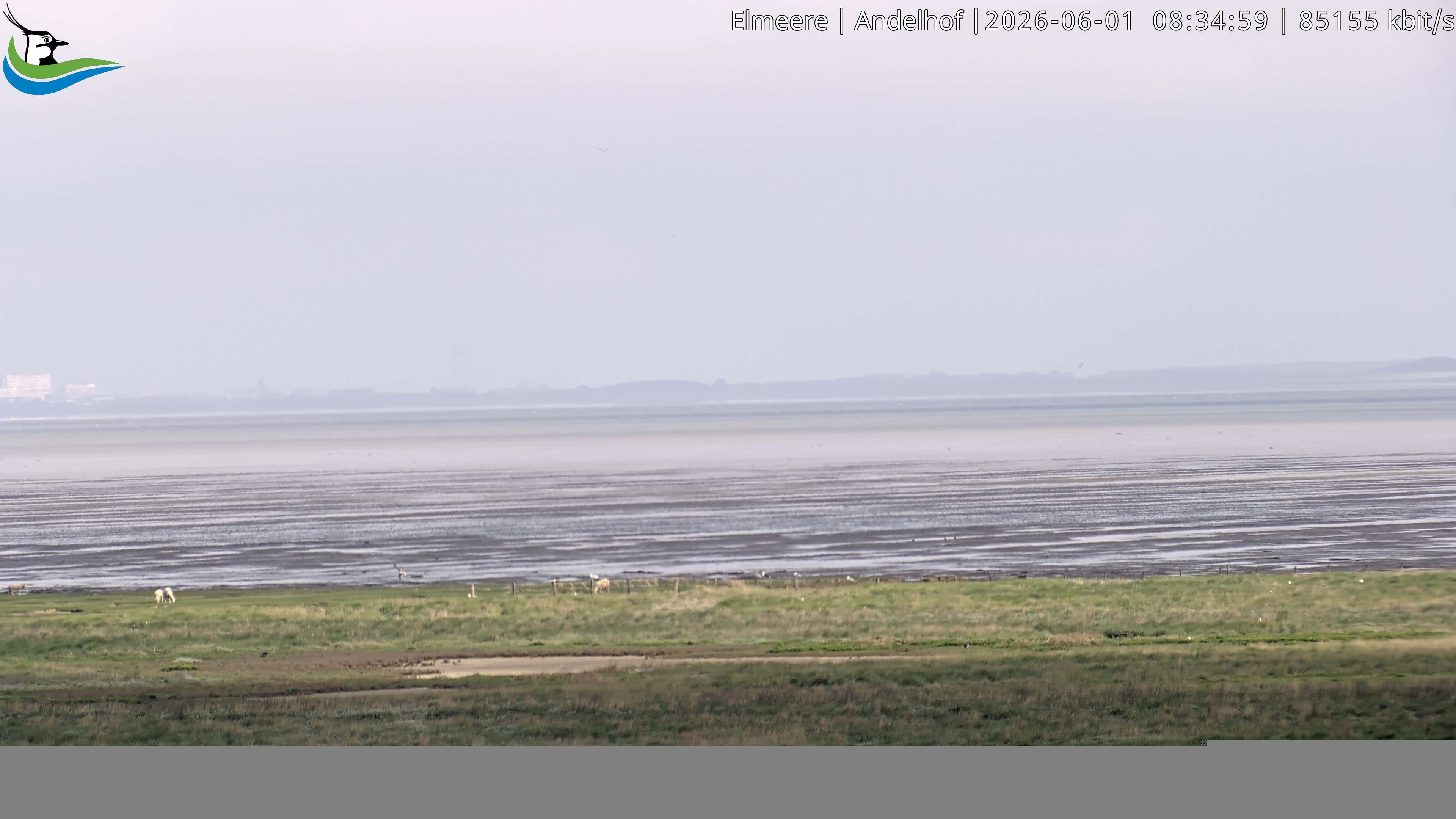 Archived image Webcam Midlum - Hotel Andelhof