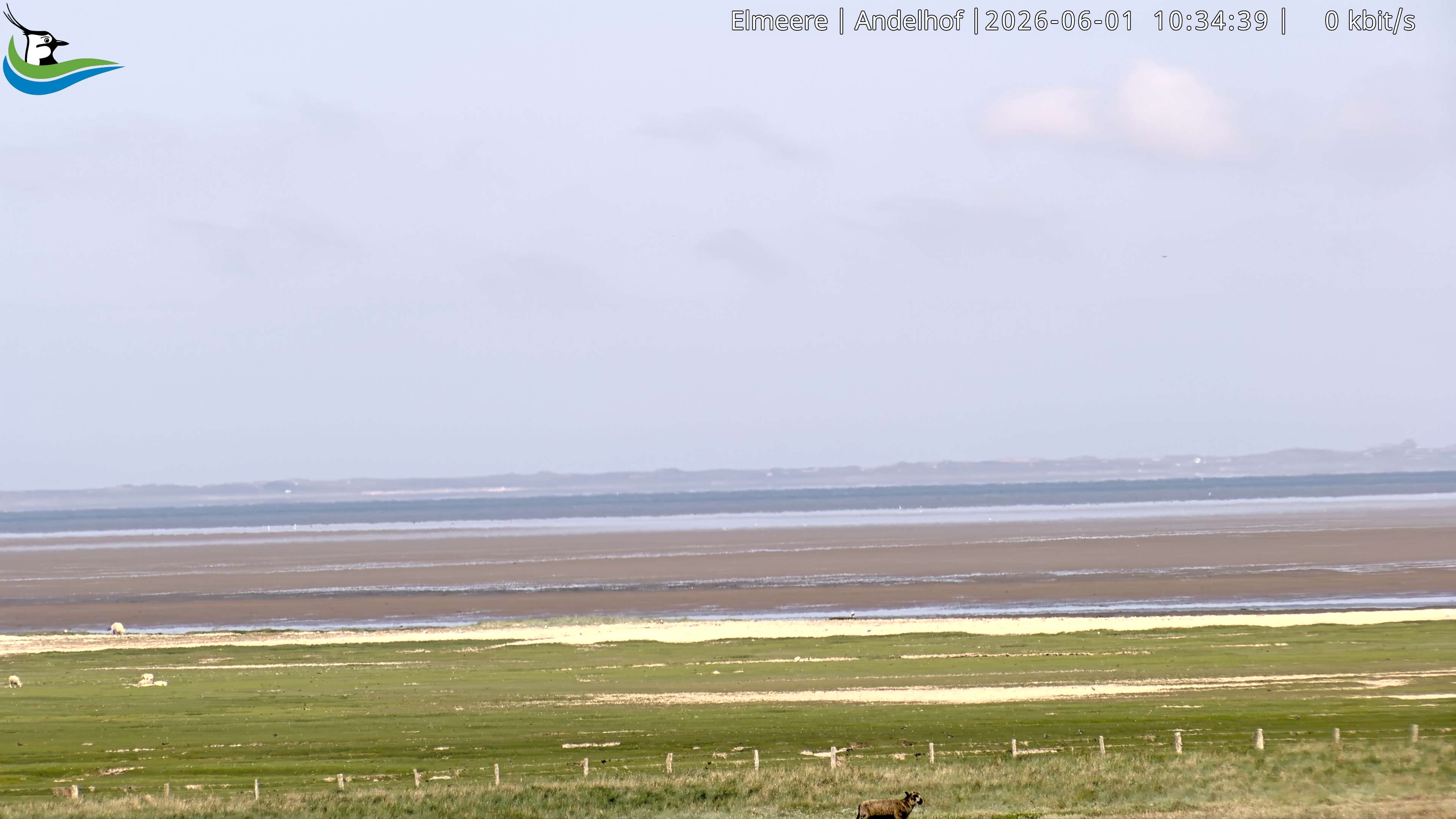 Archived image Webcam Midlum - Hotel Andelhof