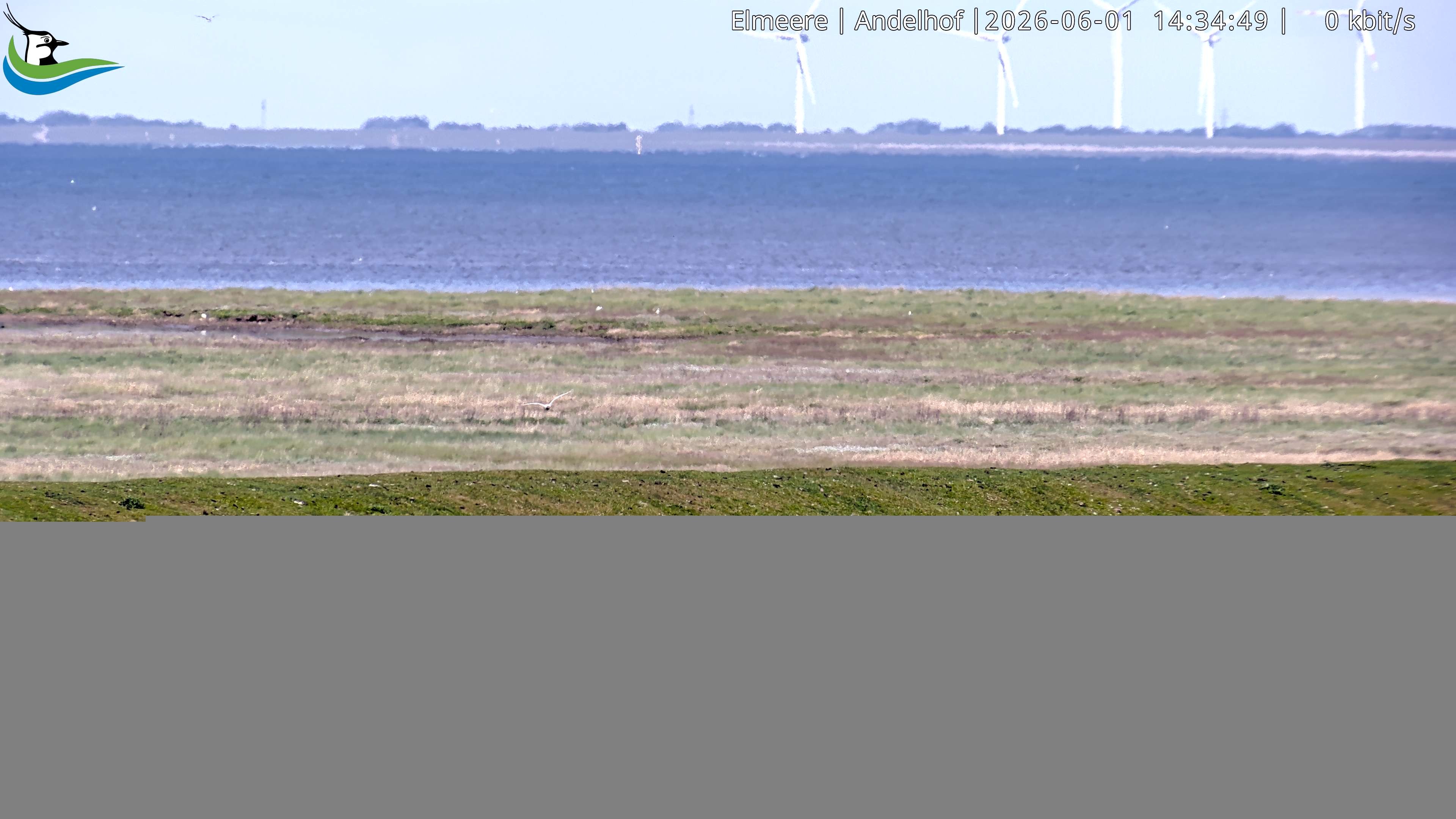 Archived image Webcam Midlum - Hotel Andelhof