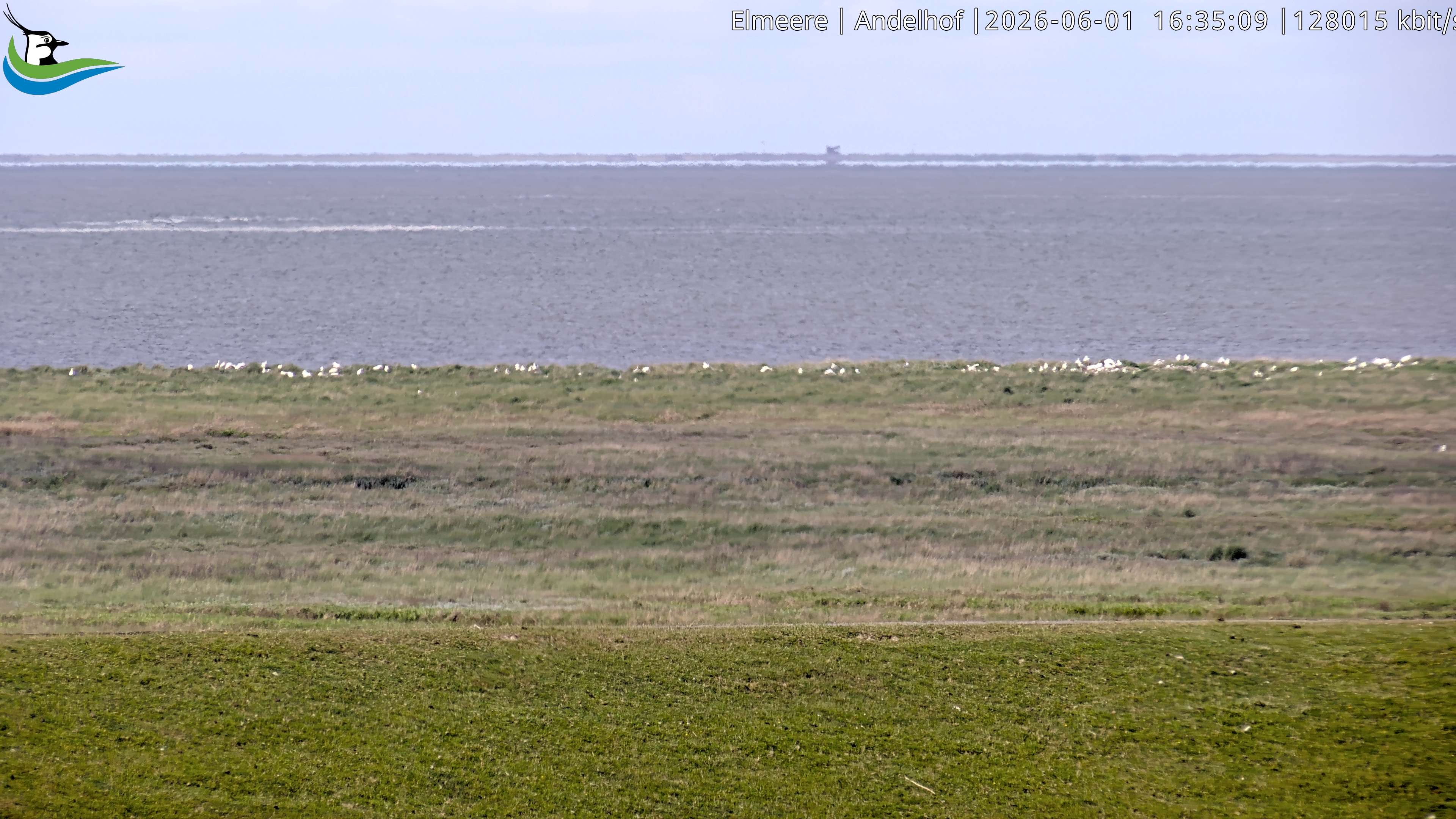 Archived image Webcam Midlum - Hotel Andelhof