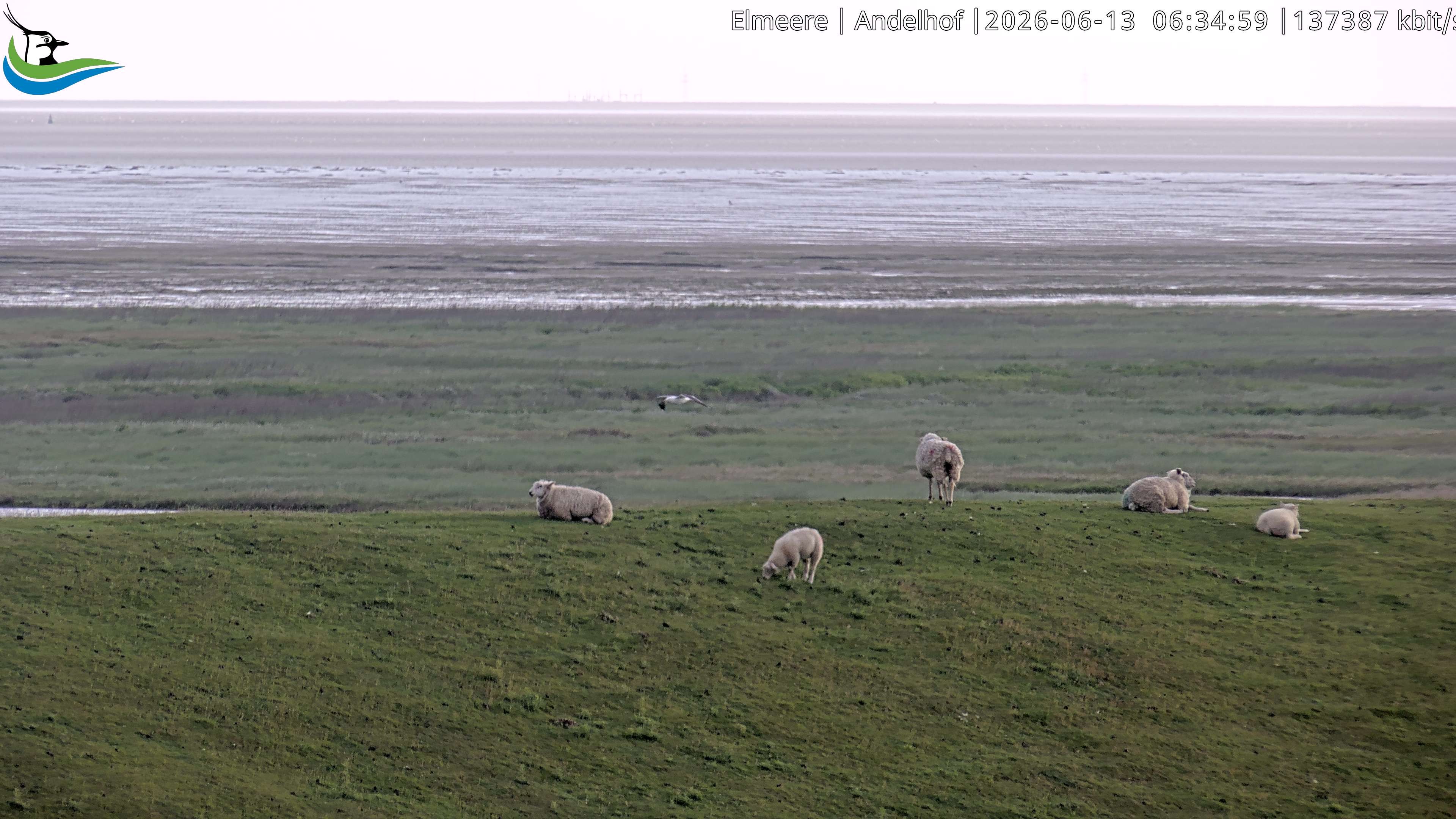 Archiv Foto Webcam Midlum - Andelhof
