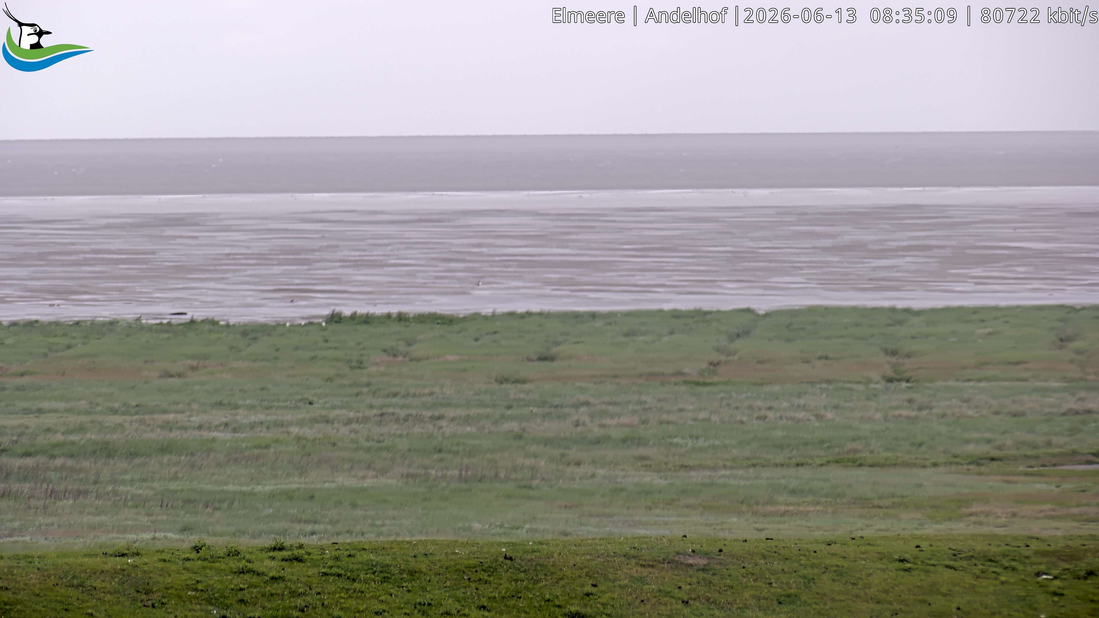 Archiv Foto Webcam Midlum - Andelhof