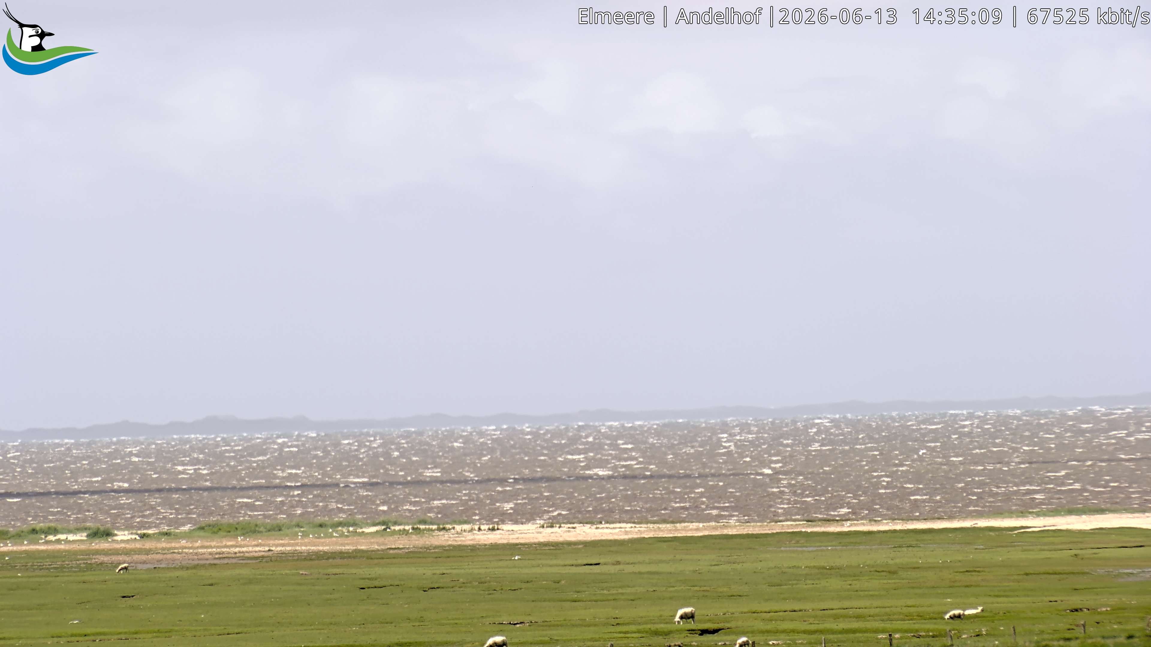 Archiv Foto Webcam Midlum - Andelhof