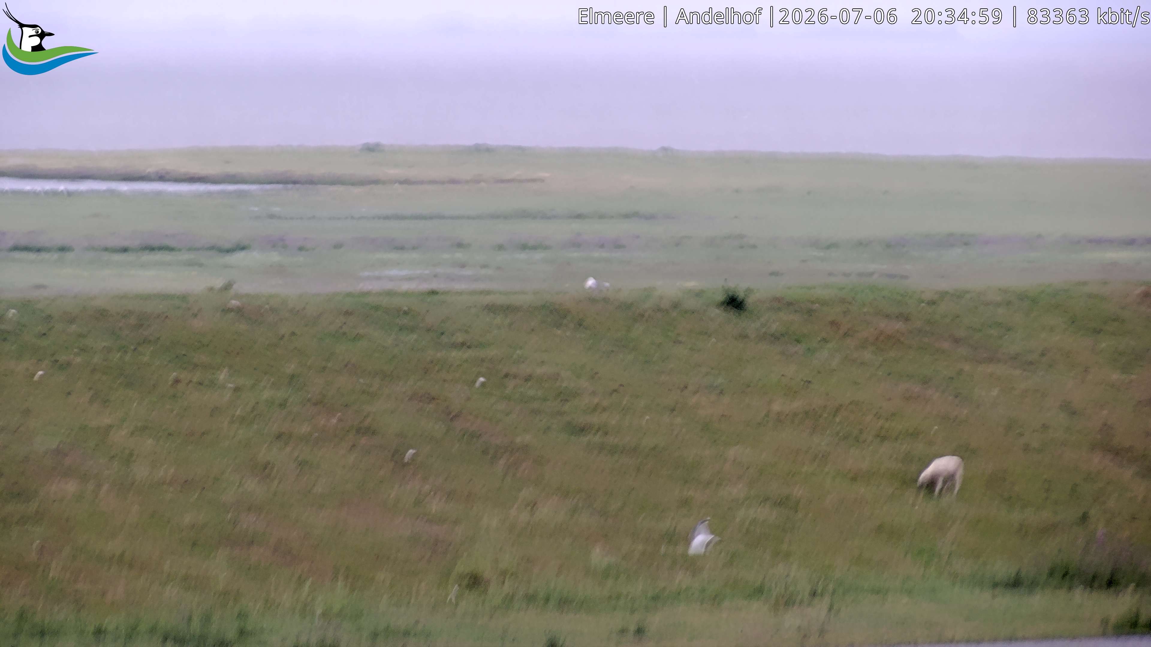 Archiv Foto Webcam Midlum - Andelhof