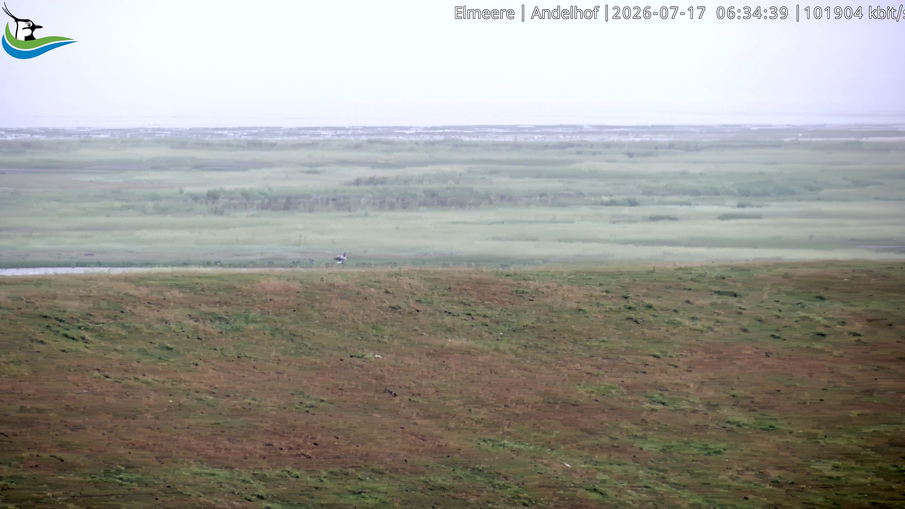Archived image Webcam Midlum - Hotel Andelhof