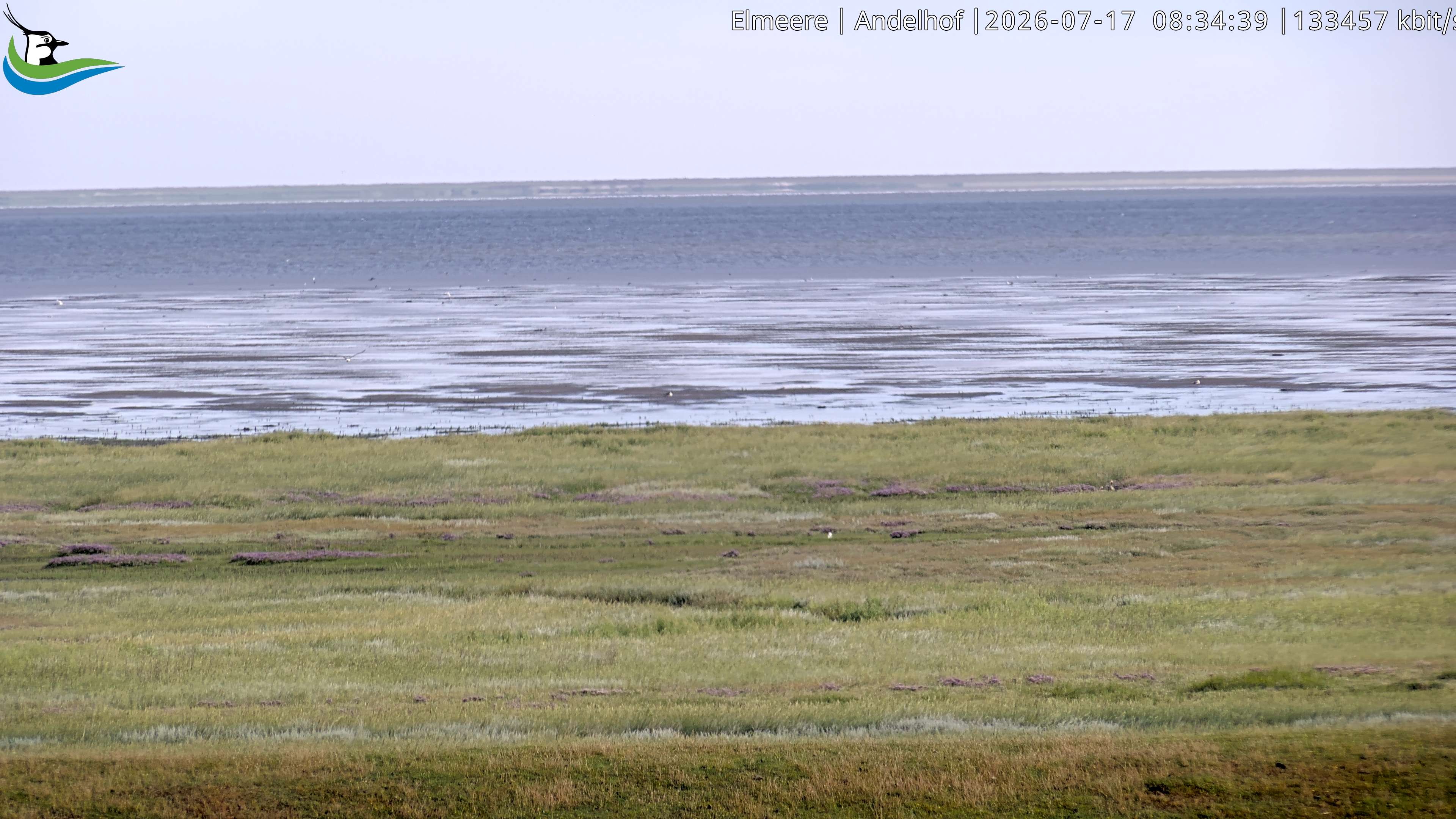 Archived image Webcam Midlum - Hotel Andelhof