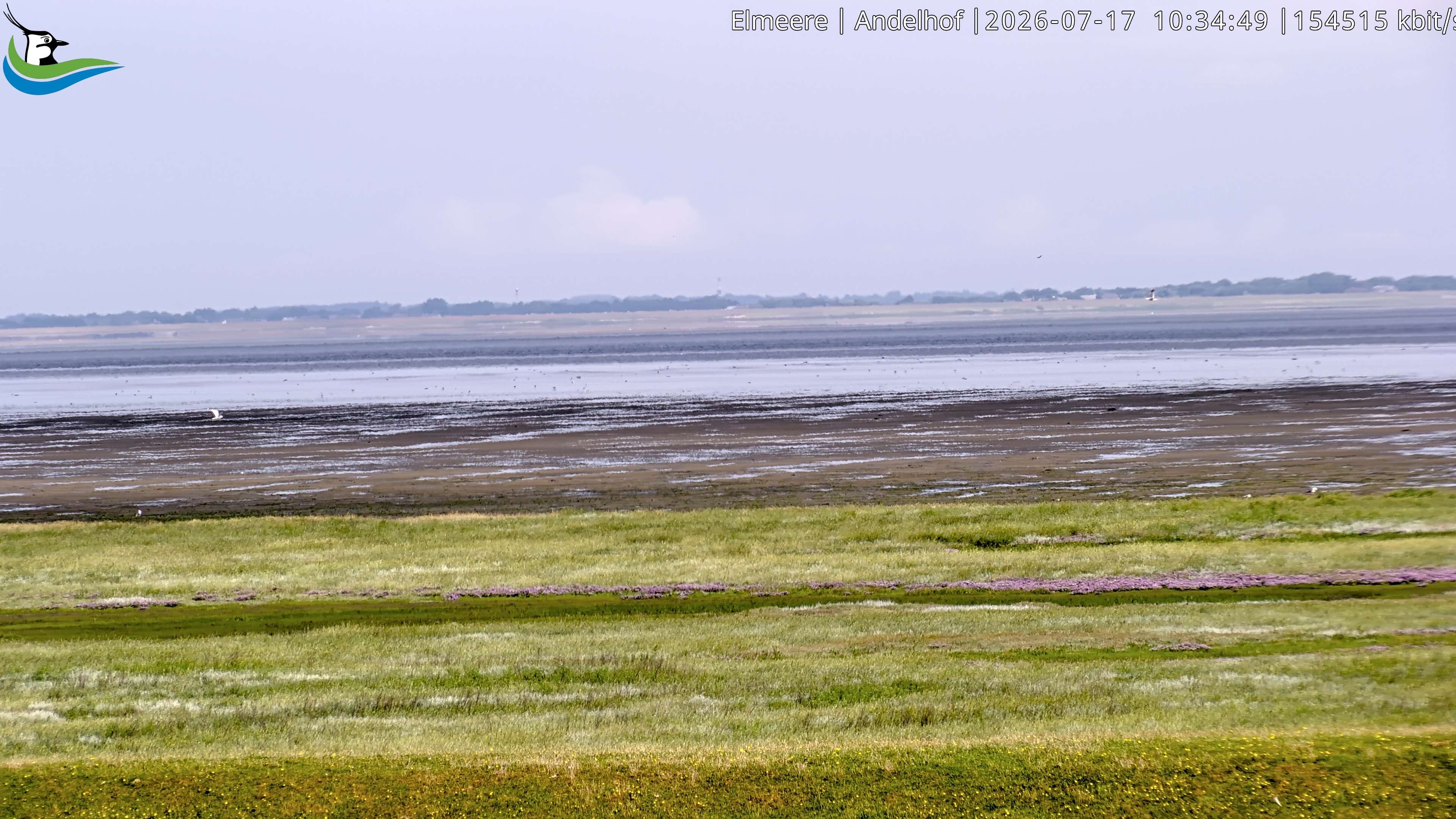 Archived image Webcam Midlum - Hotel Andelhof