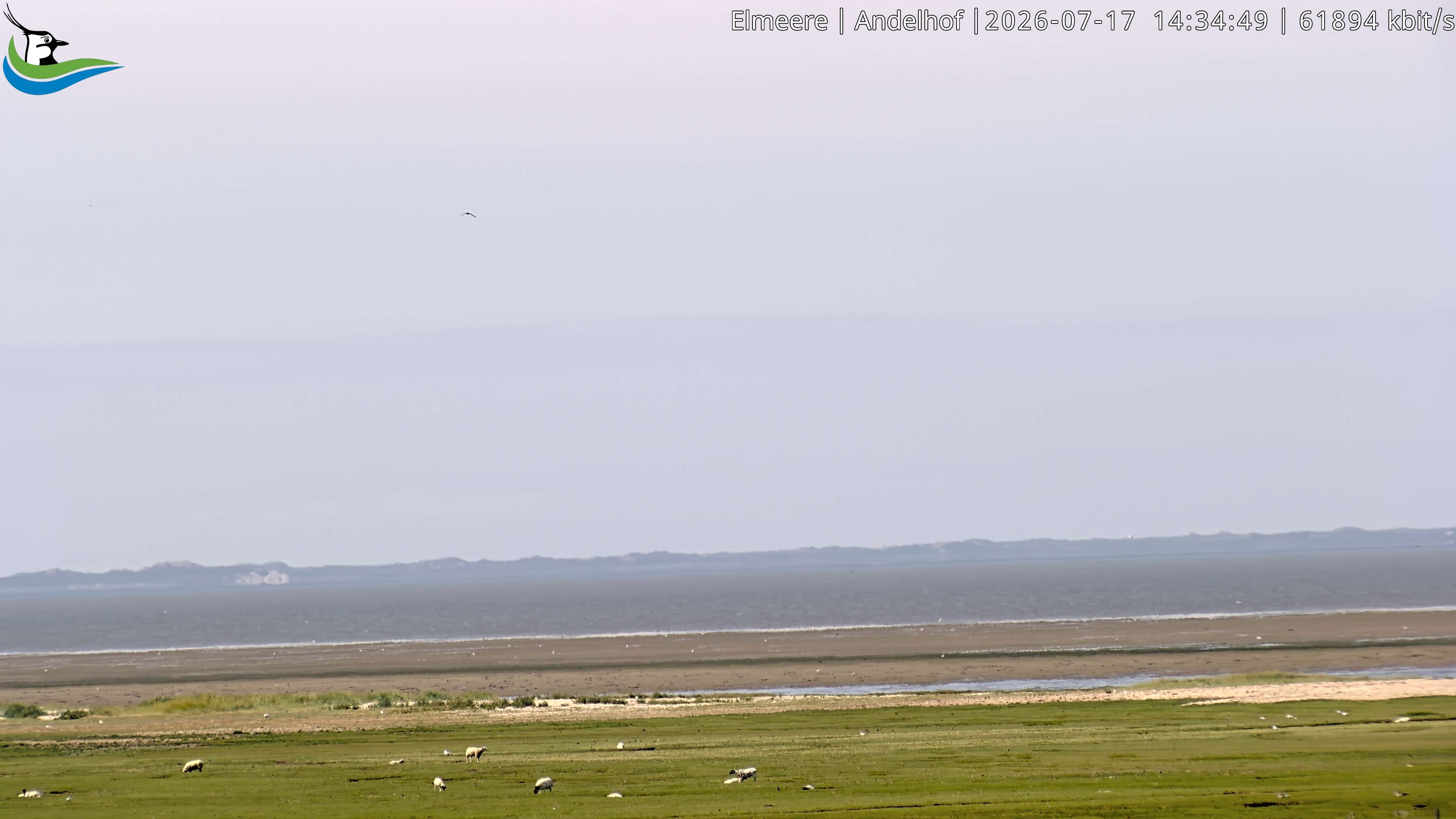Archived image Webcam Midlum - Hotel Andelhof