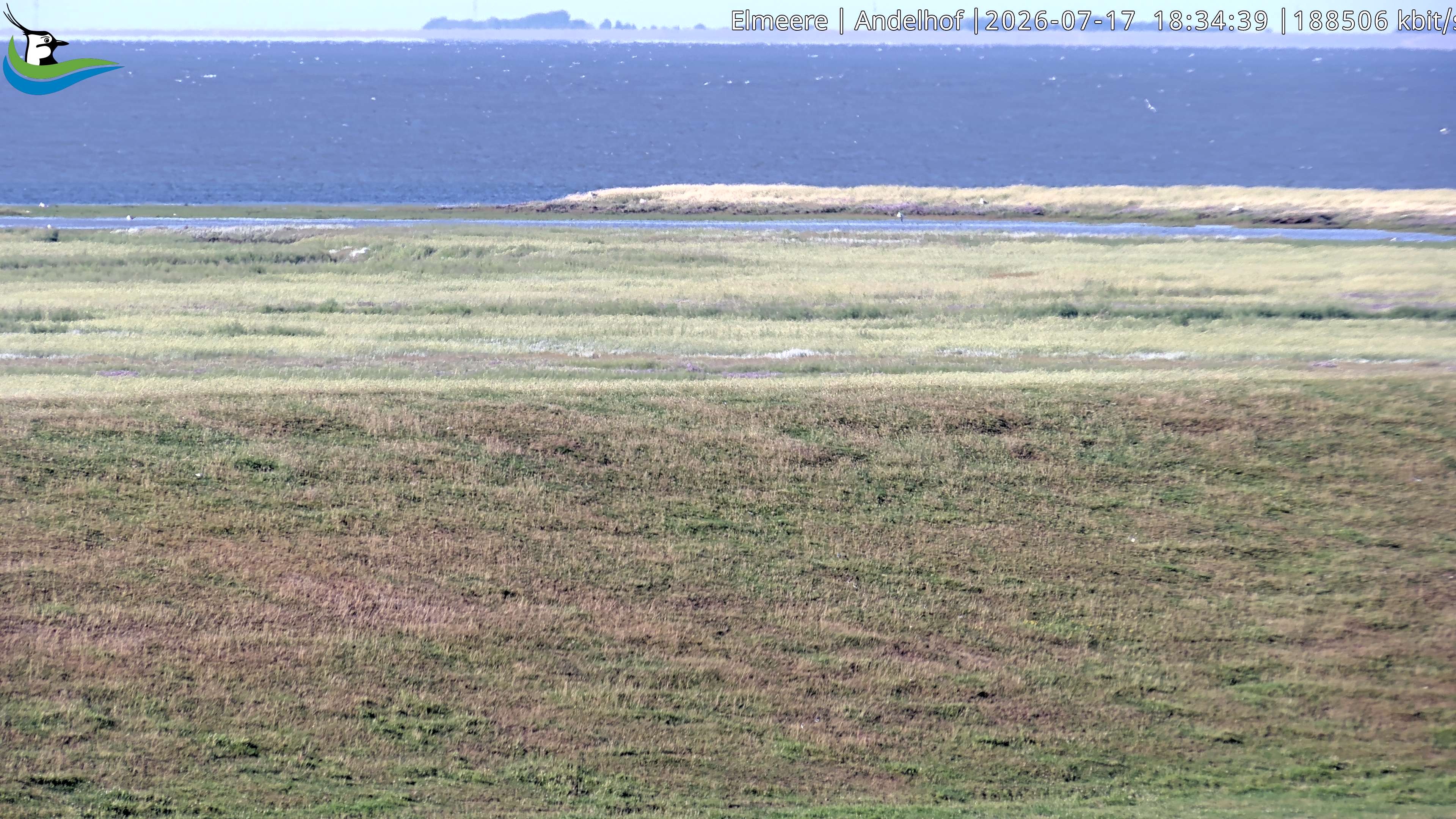 Archived image Webcam Midlum - Hotel Andelhof