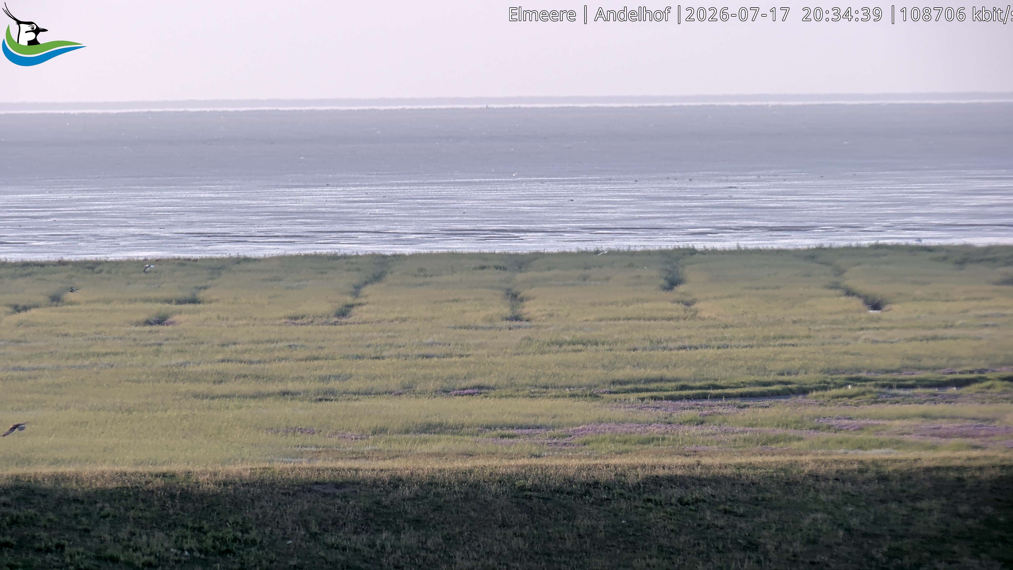 Archived image Webcam Midlum - Hotel Andelhof