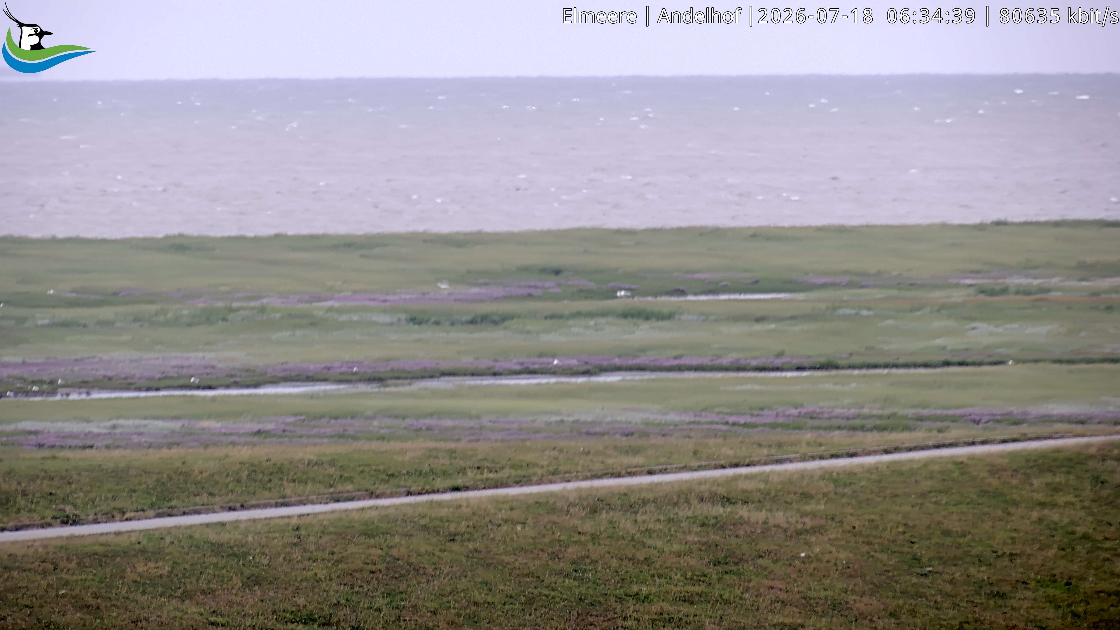 Archiv Foto Webcam Midlum - Andelhof