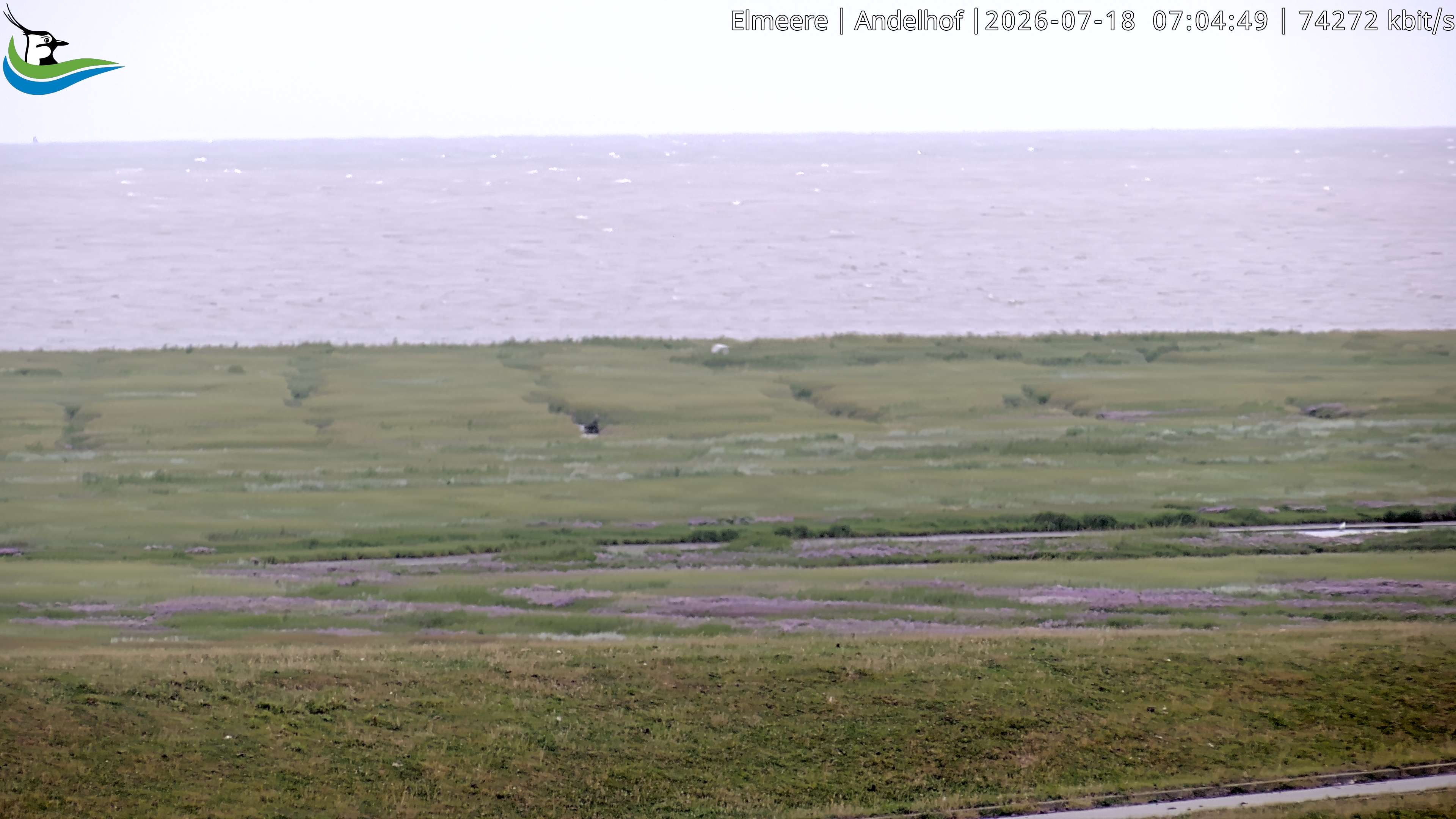 Archiv Foto Webcam Midlum - Andelhof