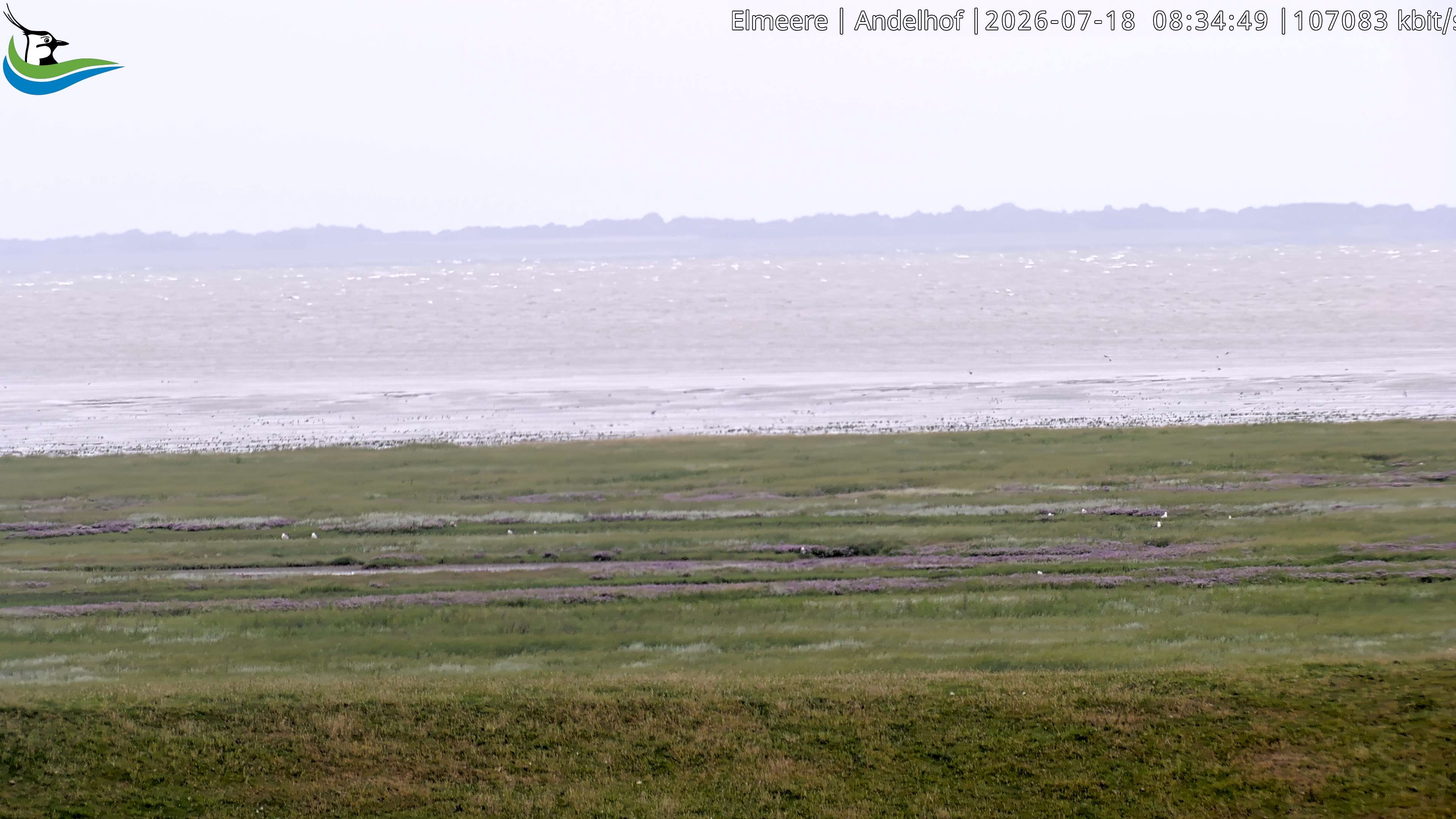 Archiv Foto Webcam Midlum - Andelhof