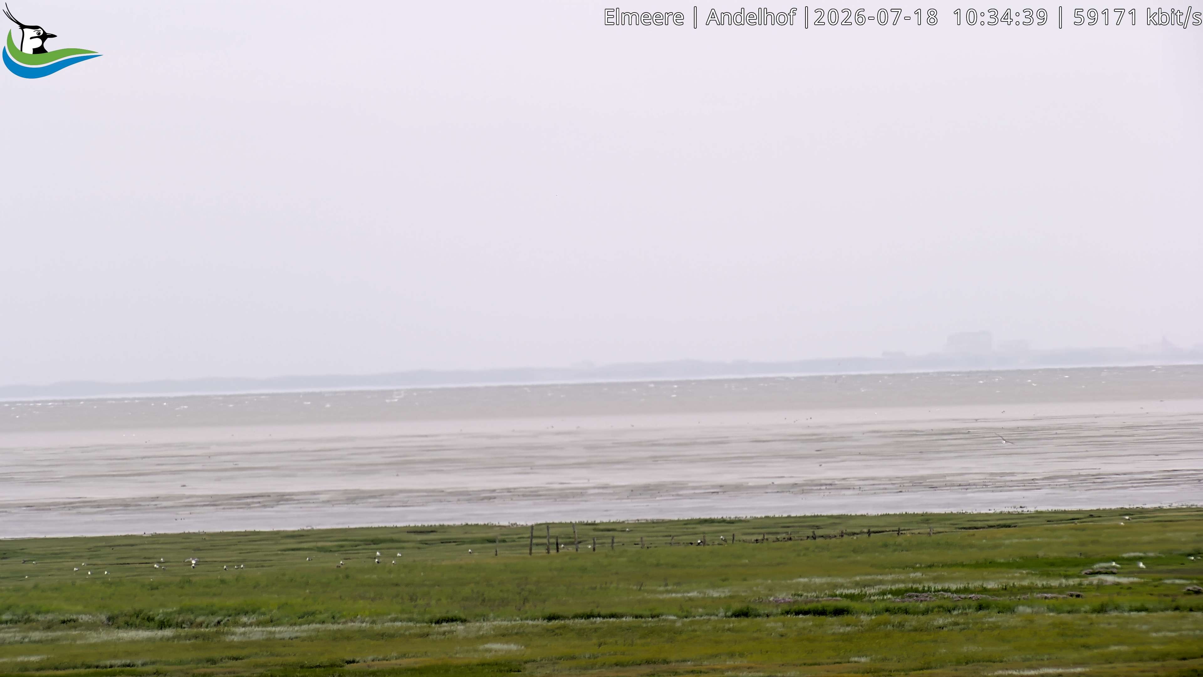 Archiv Foto Webcam Midlum - Andelhof