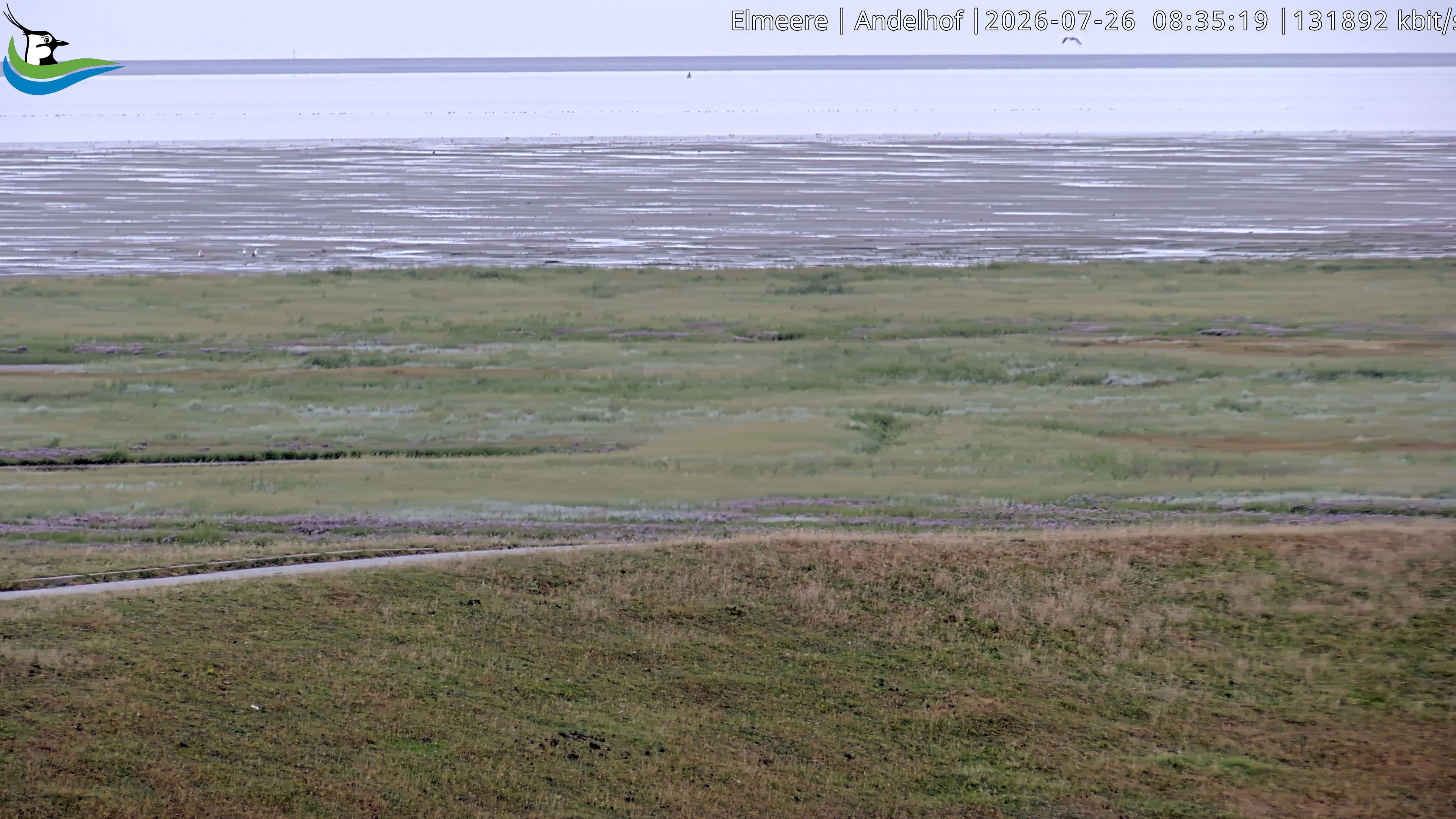 Archiv Foto Webcam Midlum - Andelhof