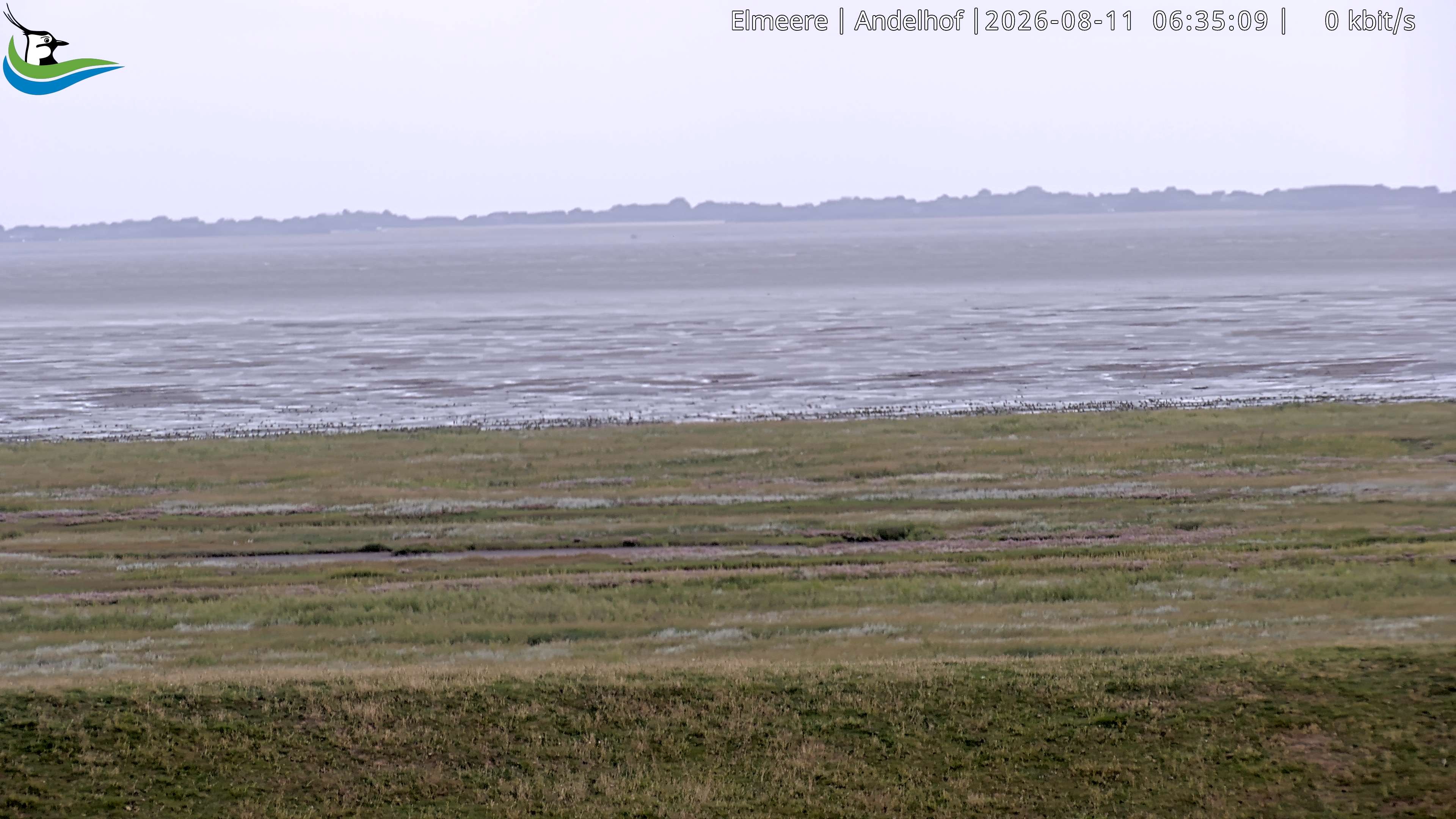 Archiv Foto Webcam Midlum - Andelhof