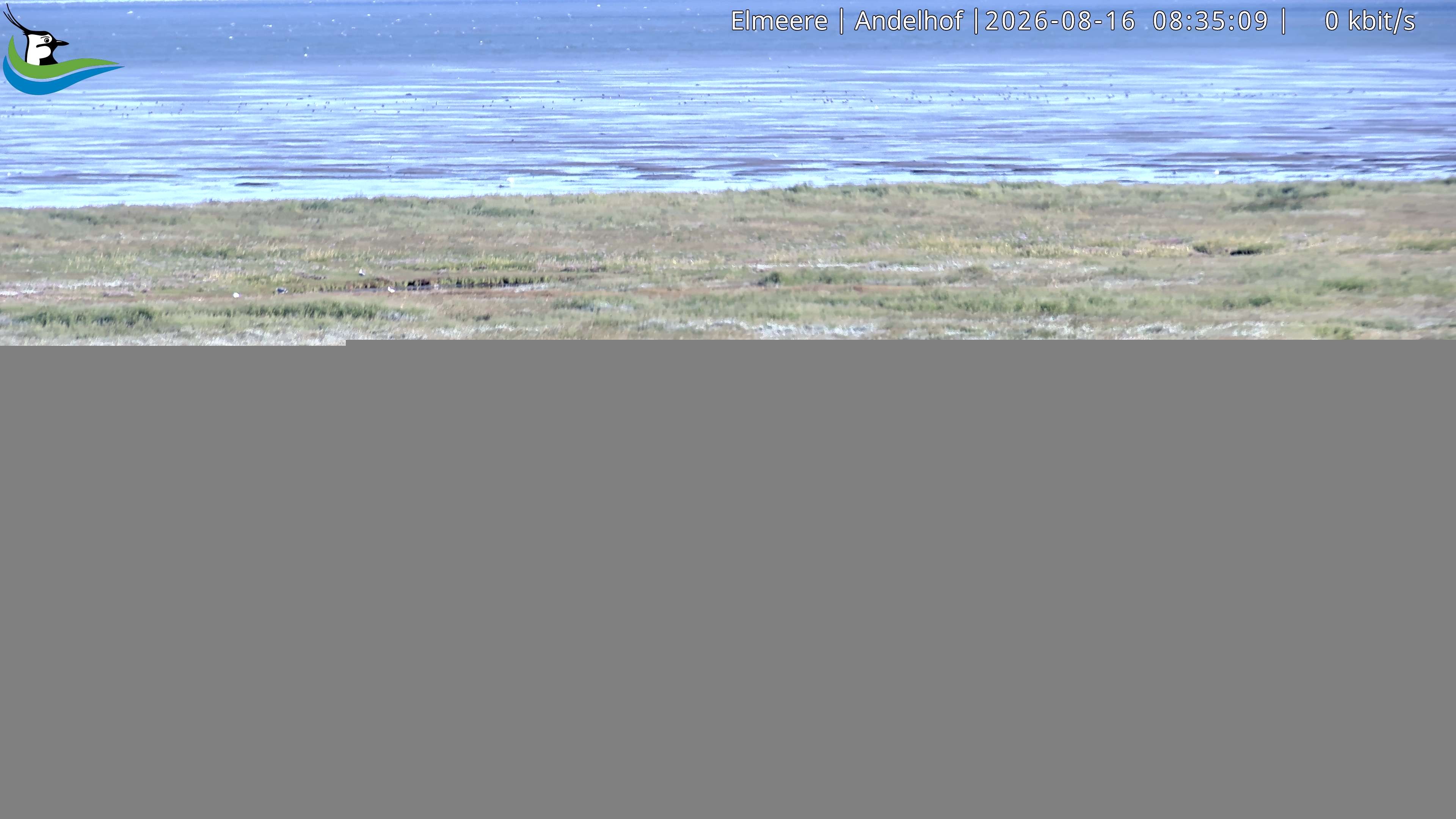 Archiv Foto Webcam Midlum - Andelhof