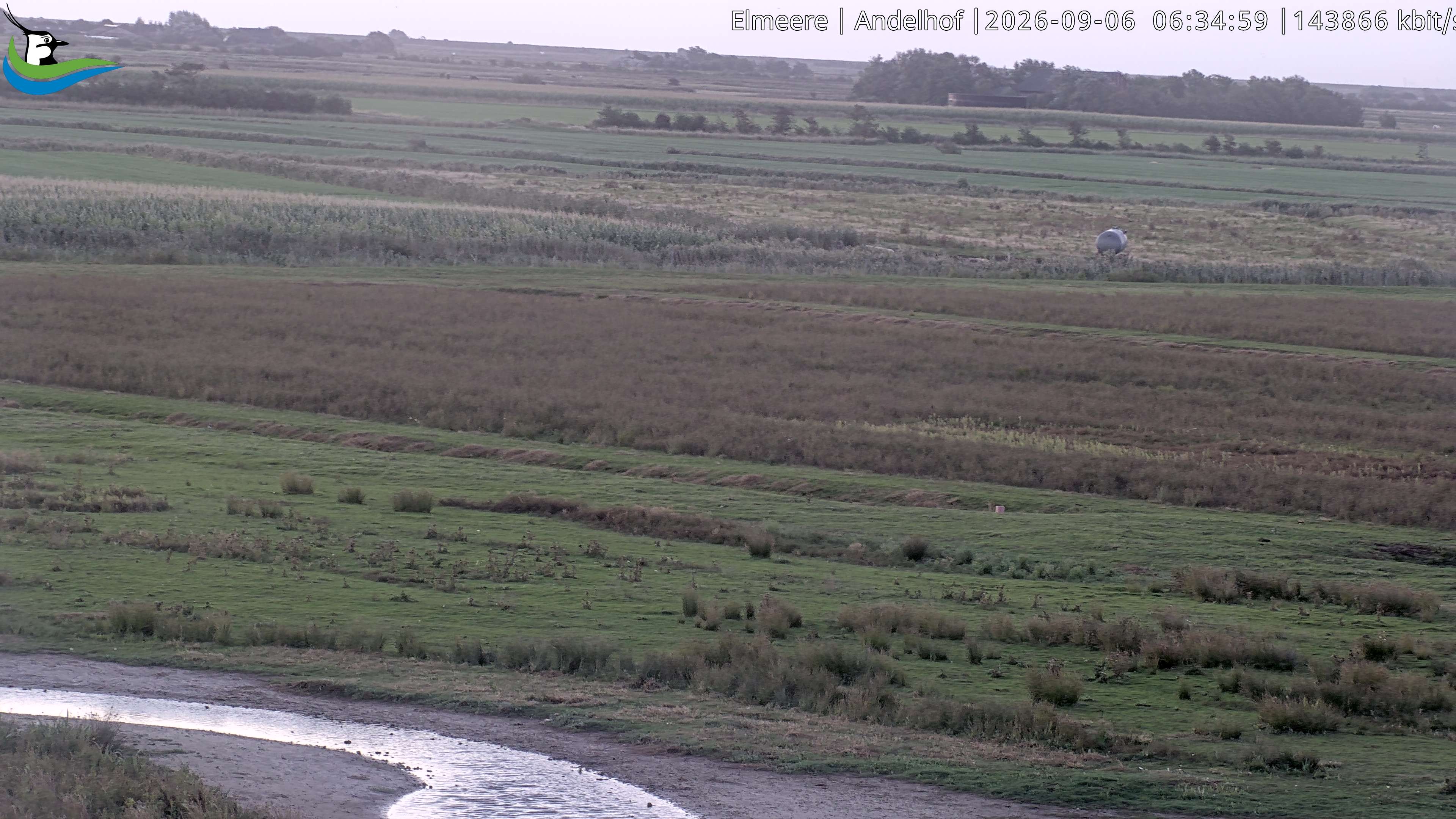 Archiv Foto Webcam Midlum - Andelhof