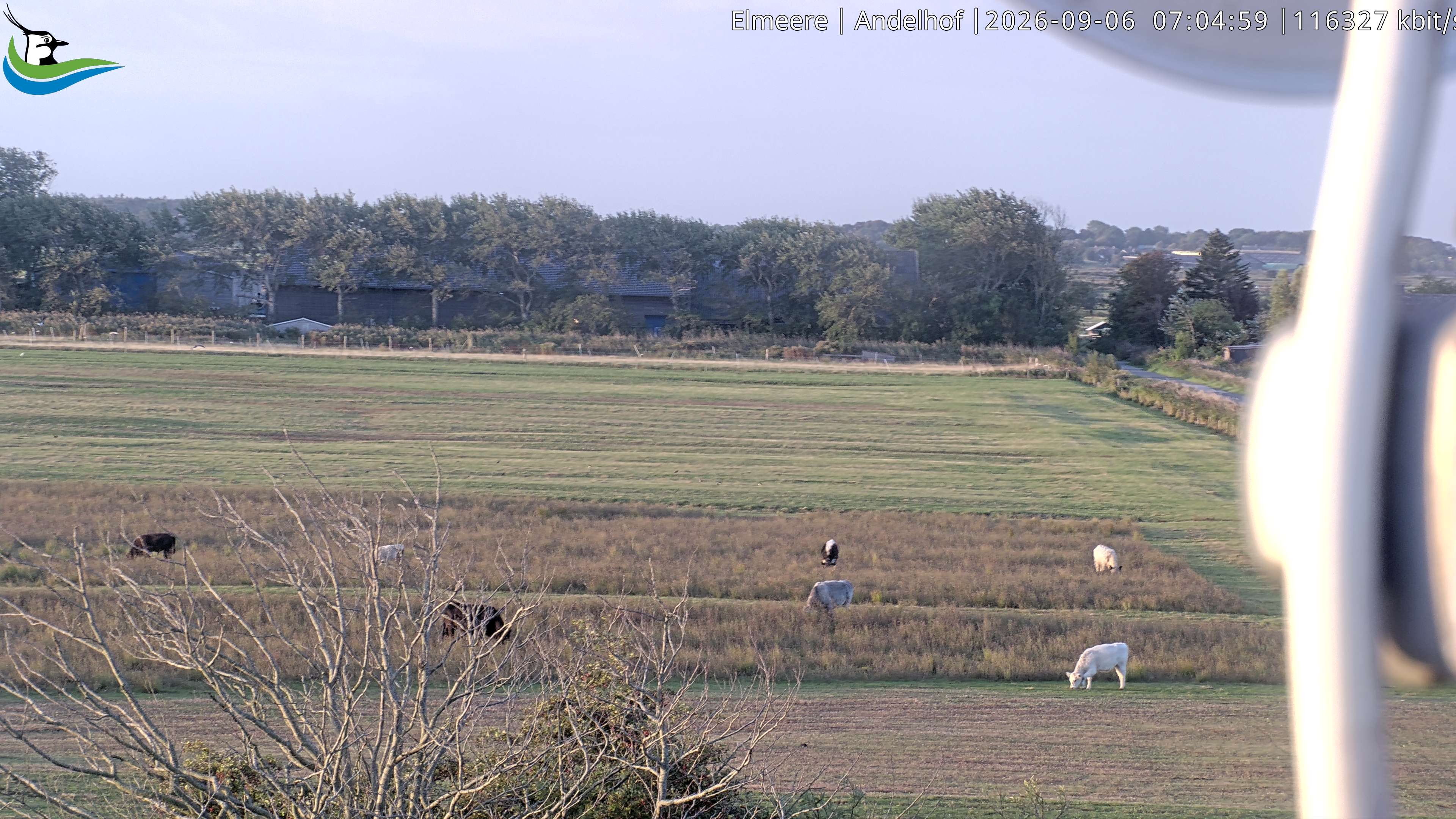 Archiv Foto Webcam Midlum - Andelhof