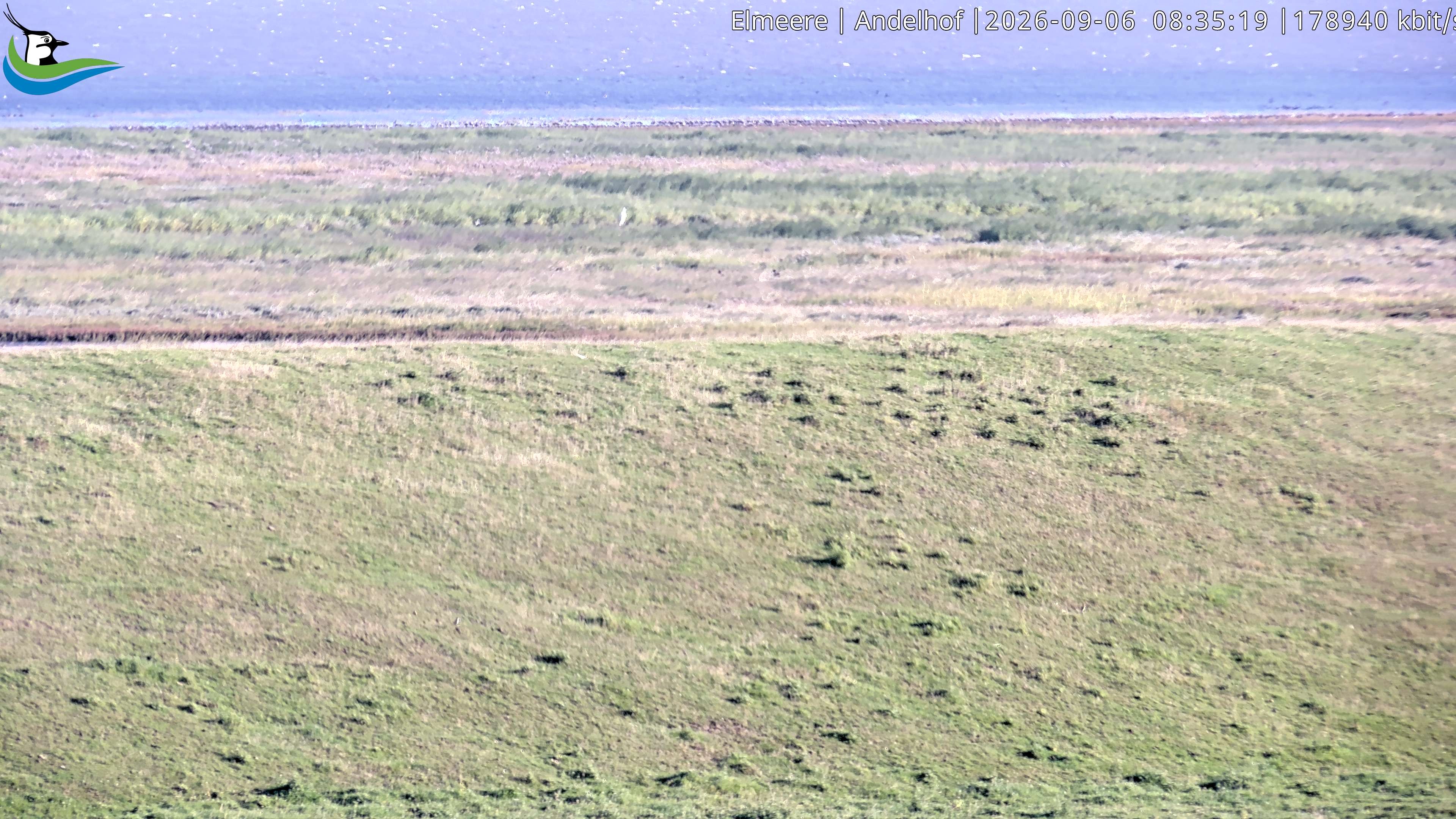 Archiv Foto Webcam Midlum - Andelhof