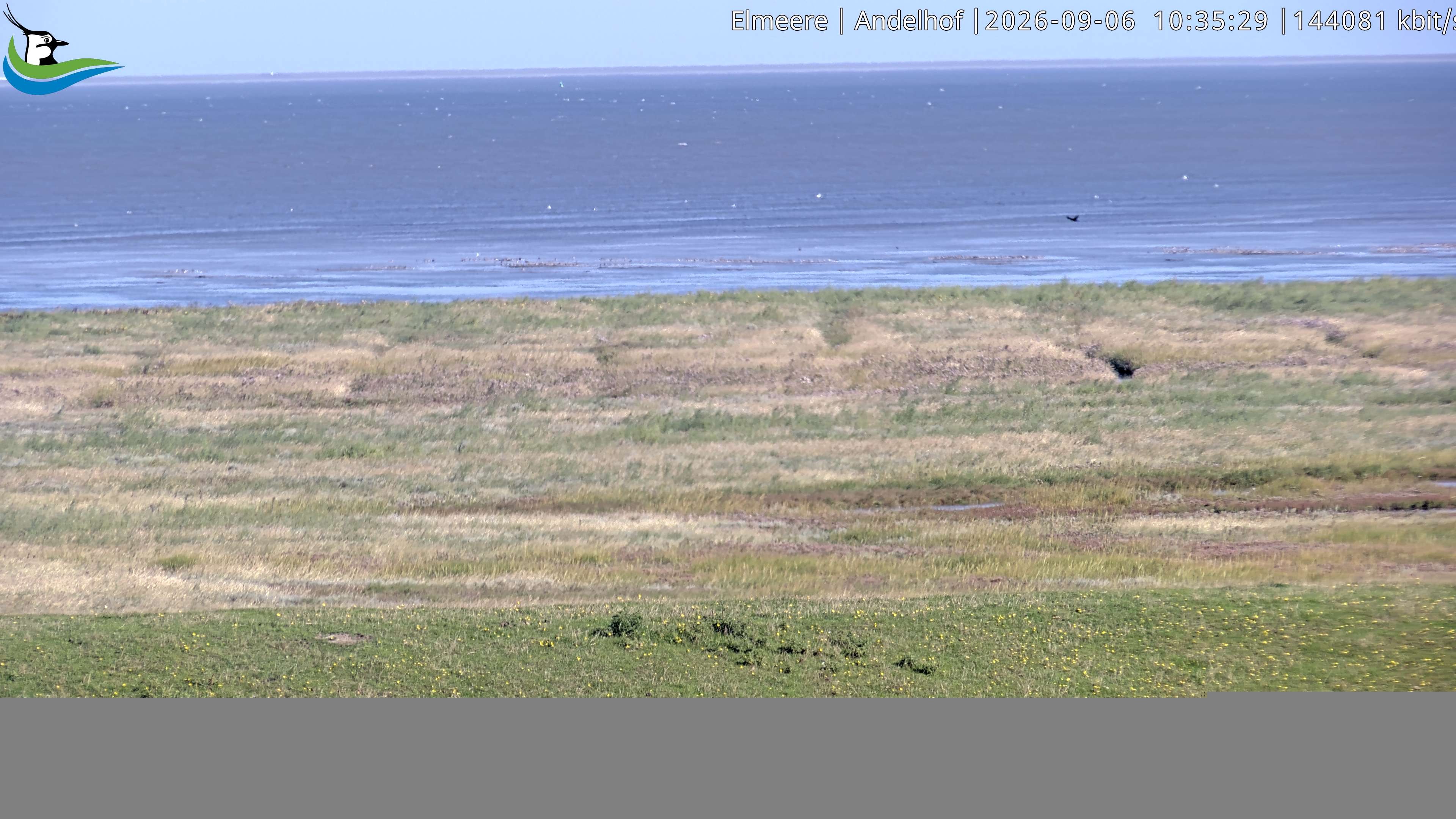 Archiv Foto Webcam Midlum - Andelhof