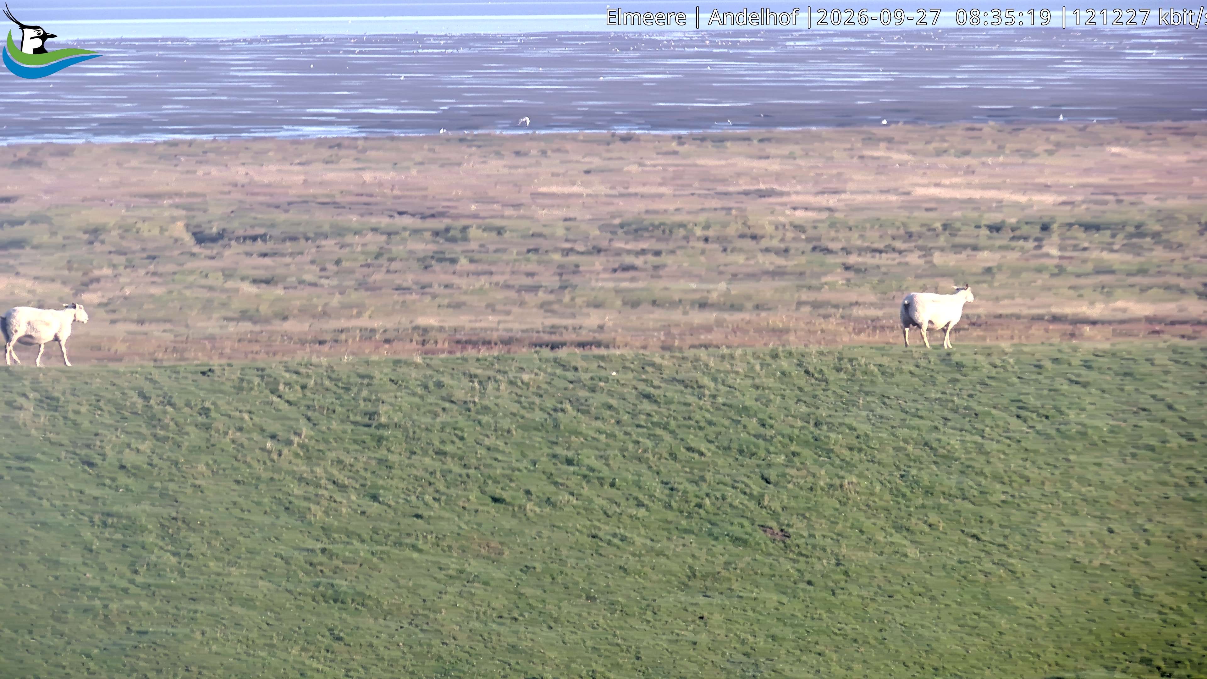 Archiv Foto Webcam Midlum - Andelhof