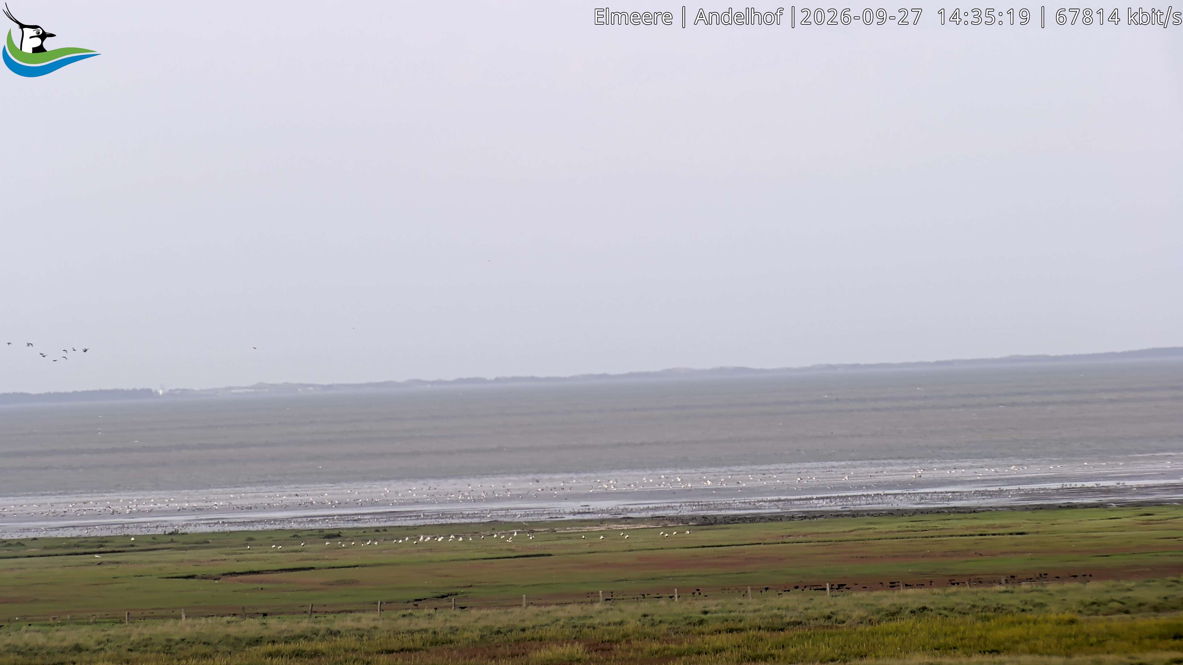Archiv Foto Webcam Midlum - Andelhof