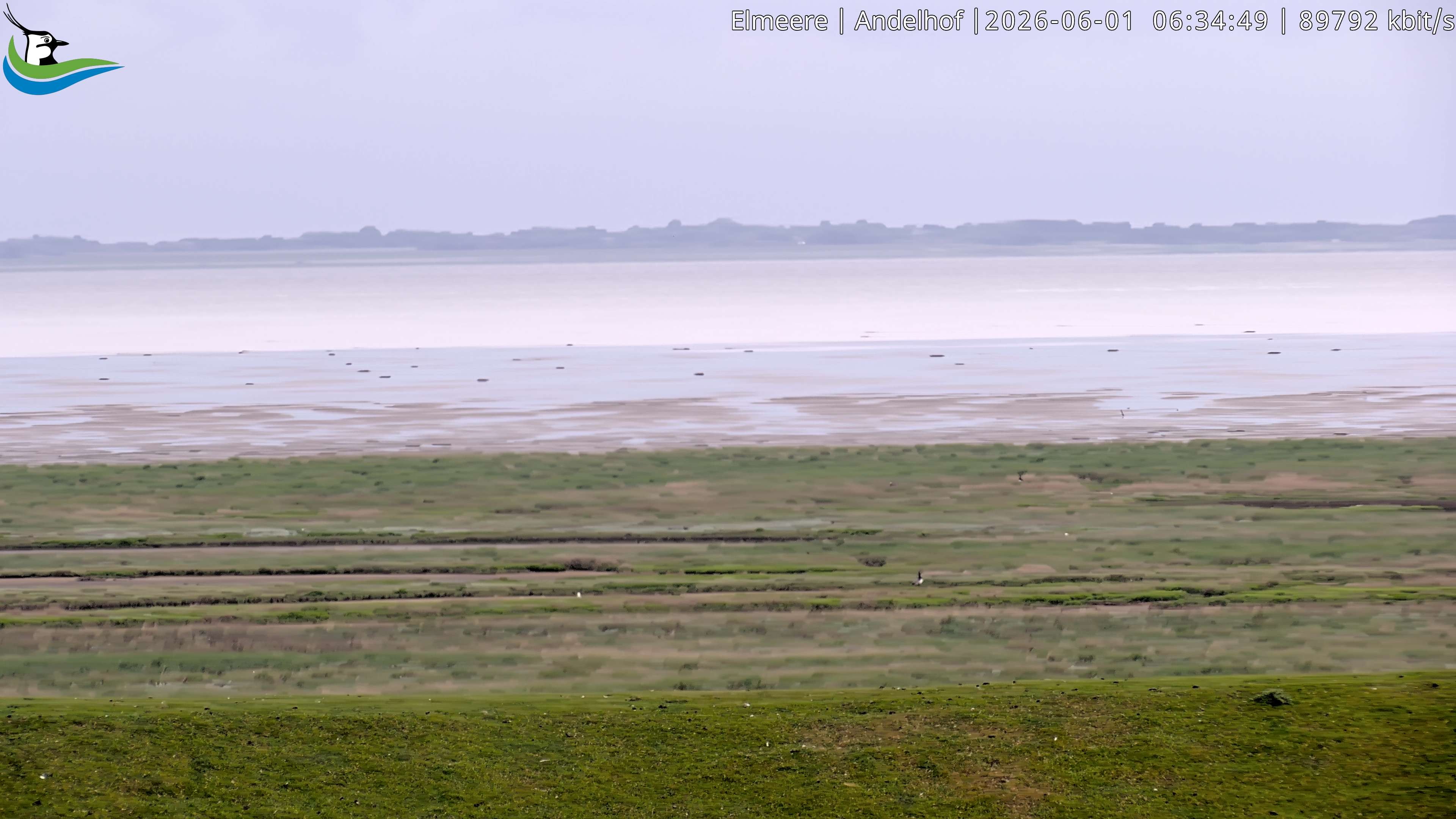 Archived image Webcam Midlum - Hotel Andelhof II